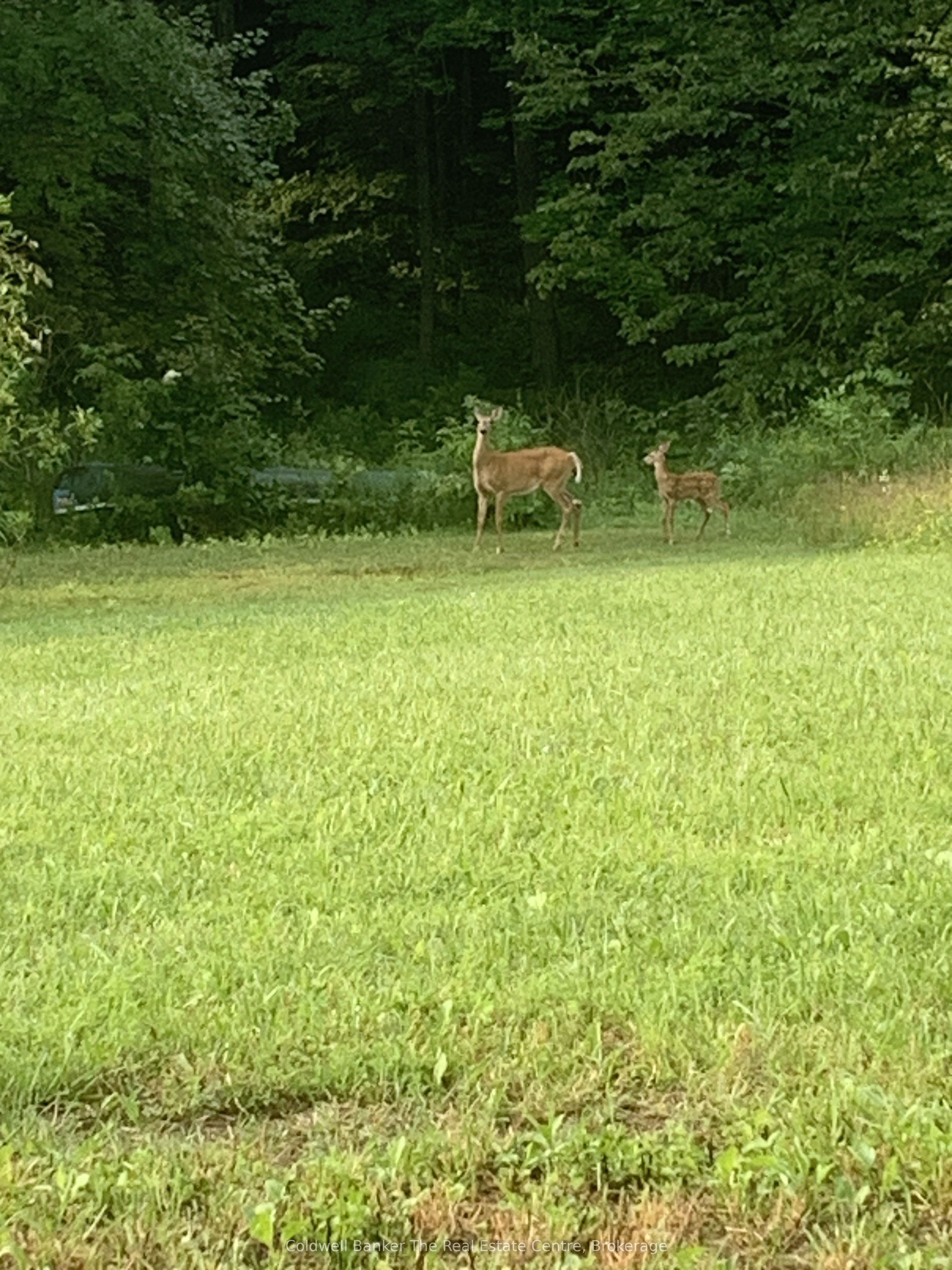 1517 Southwood Road Property Photo 5