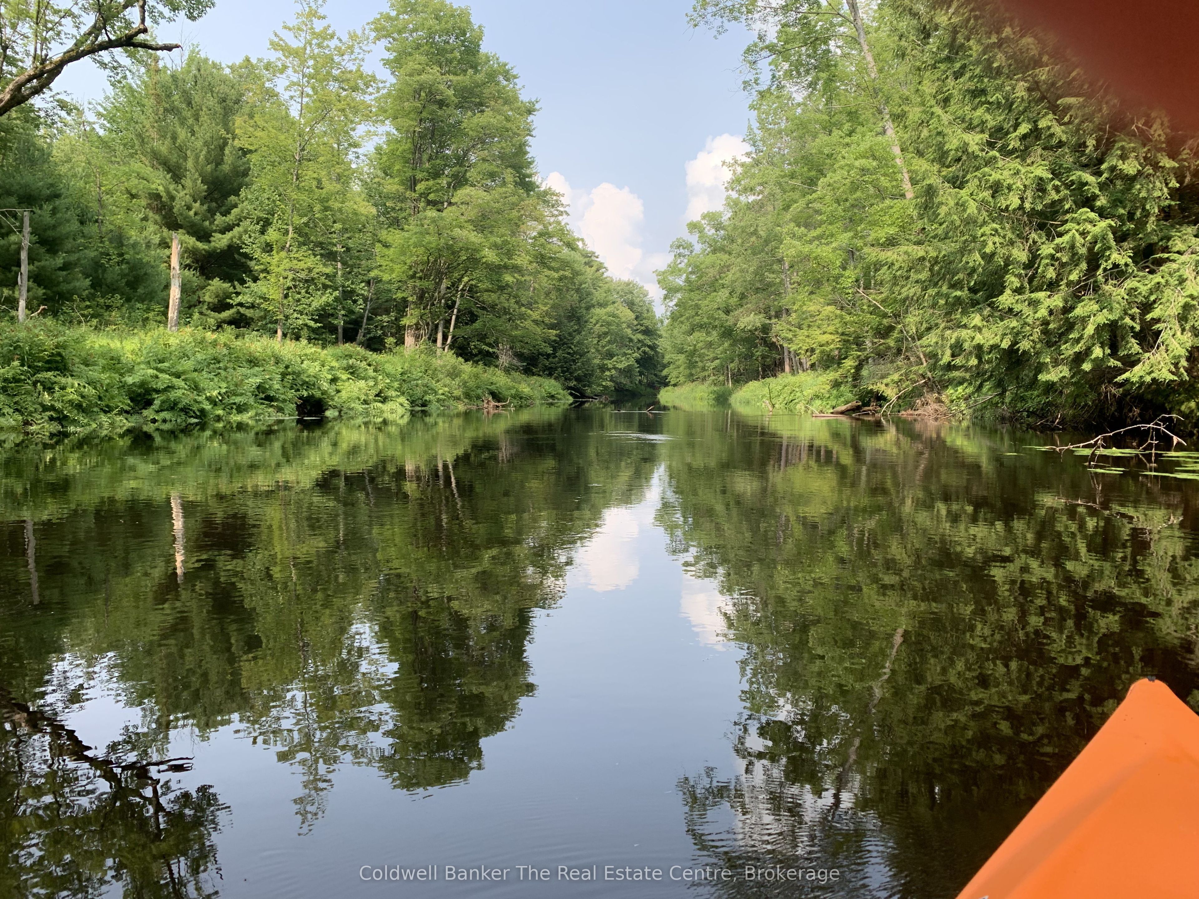 1517 Southwood Road Property Photo 6