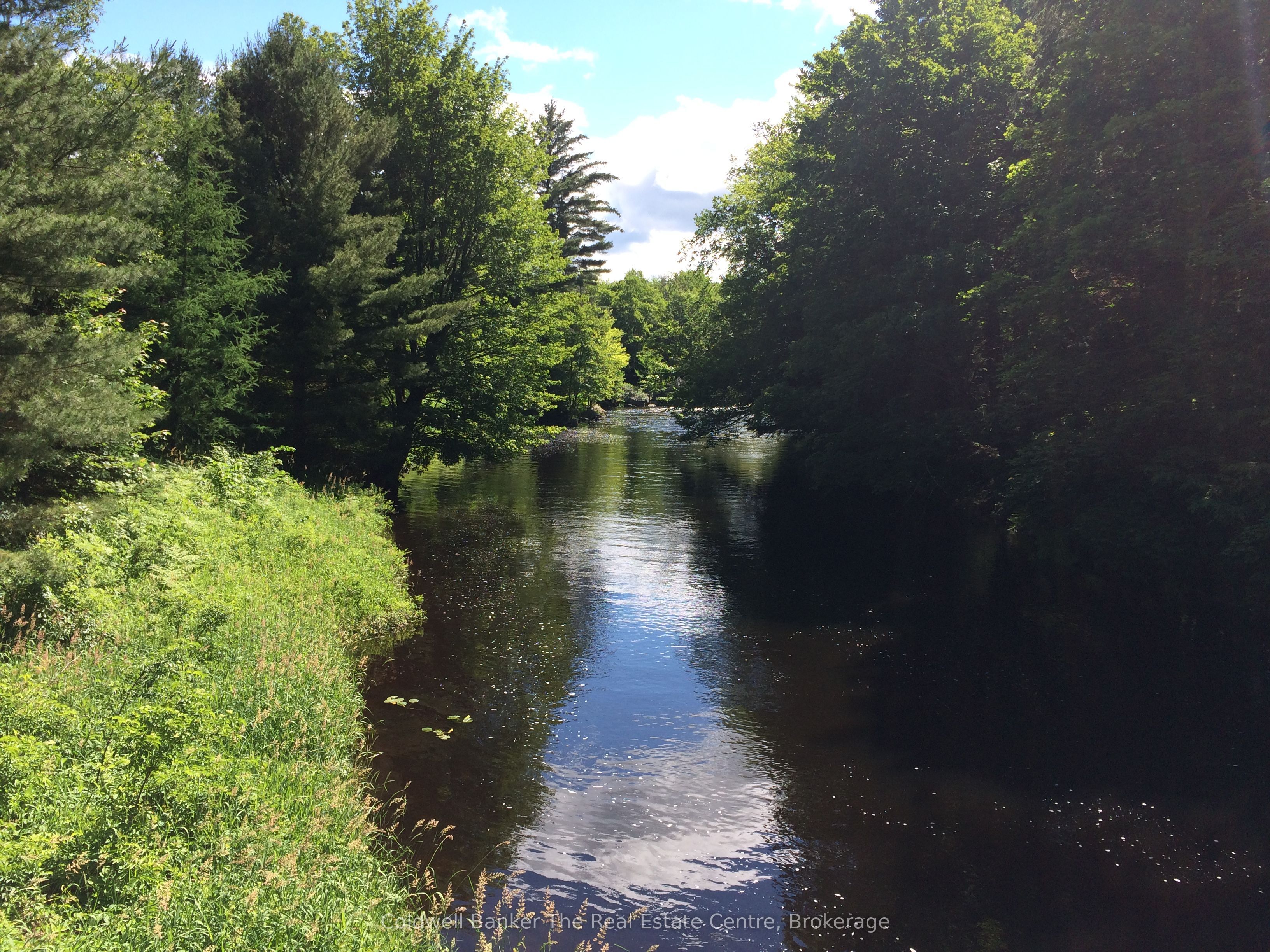 1517 Southwood Road Property Photo 7