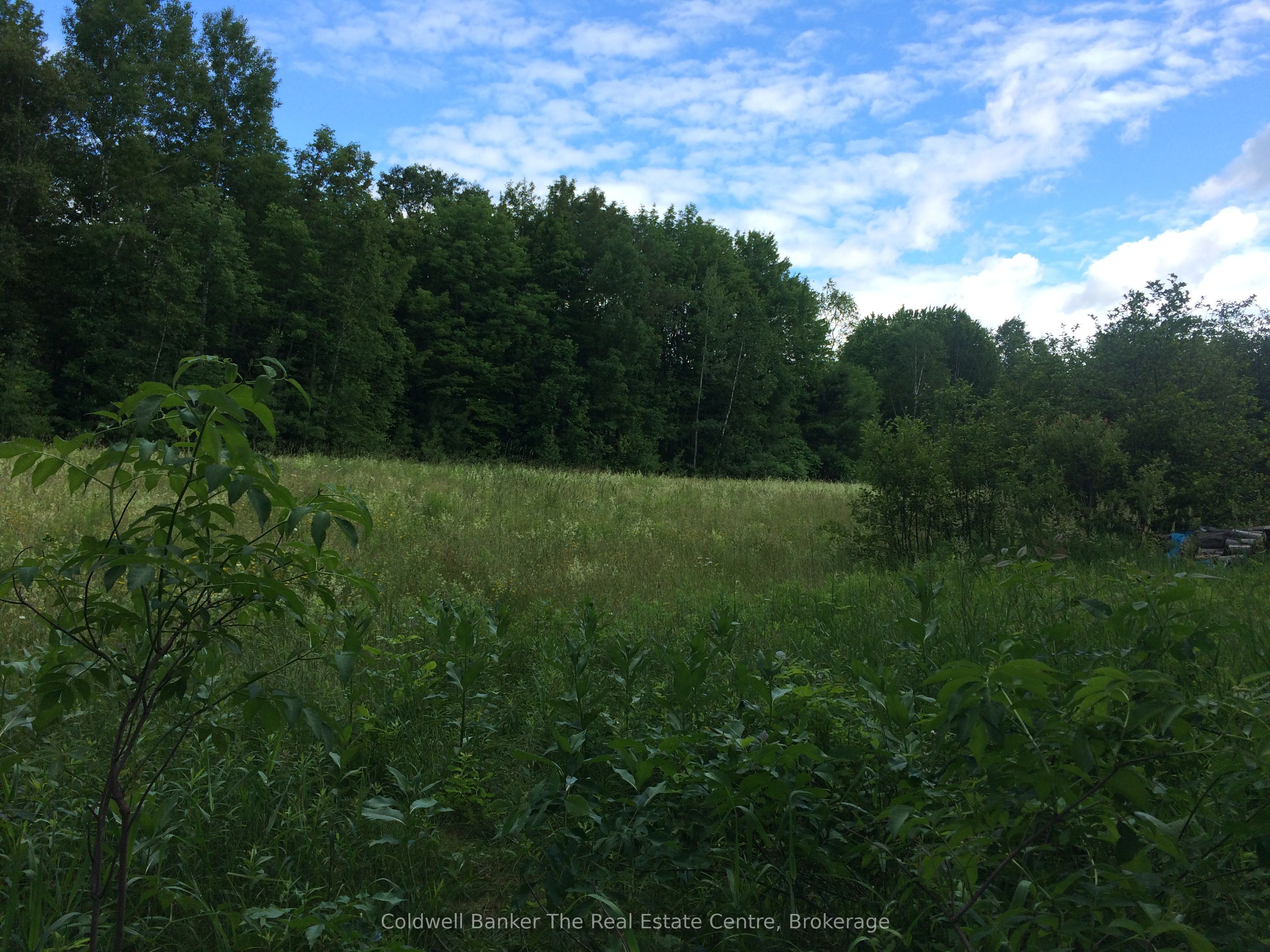 1517 Southwood Road Property Photo 8