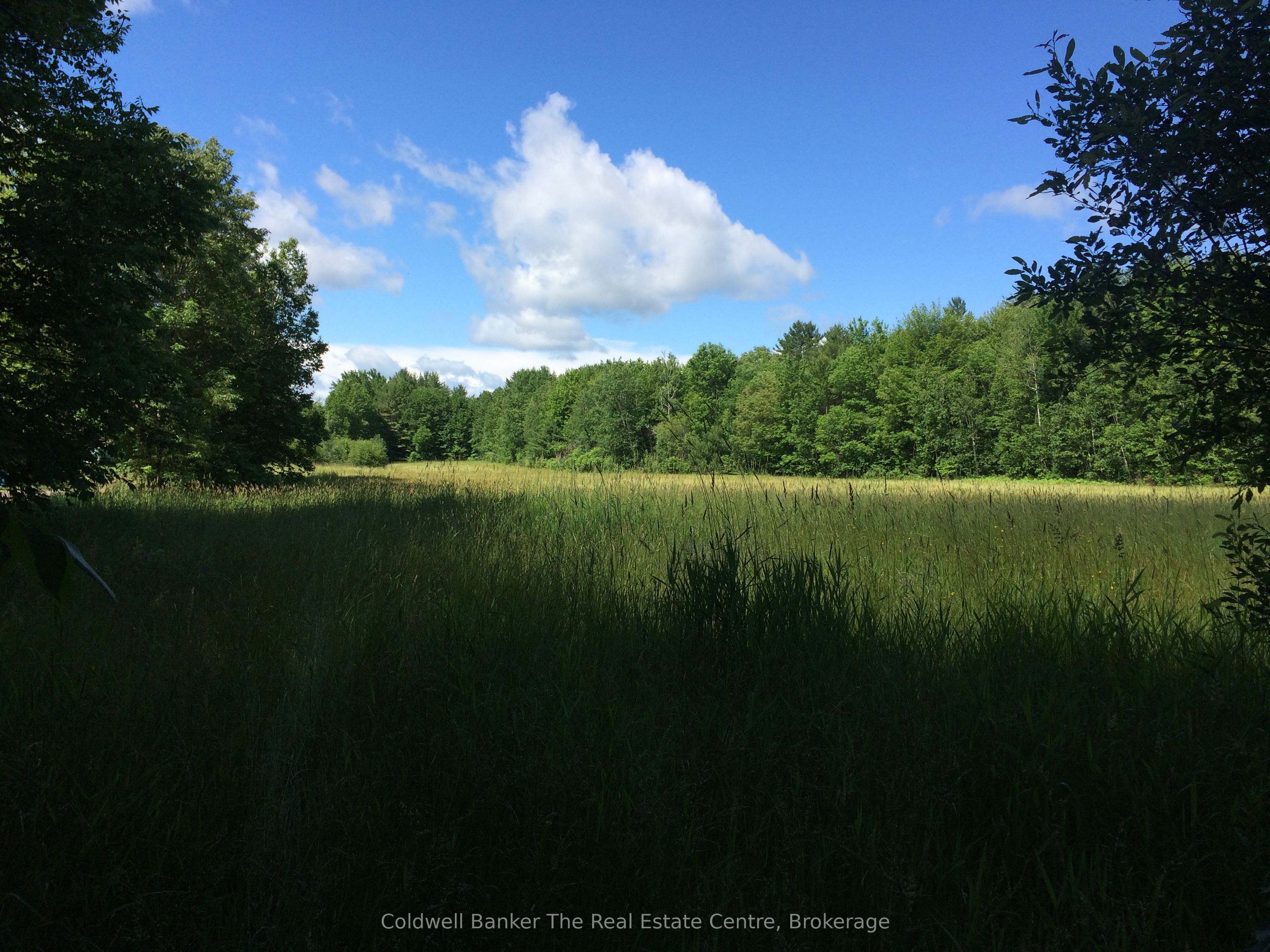 1517 Southwood Road Property Photo 9