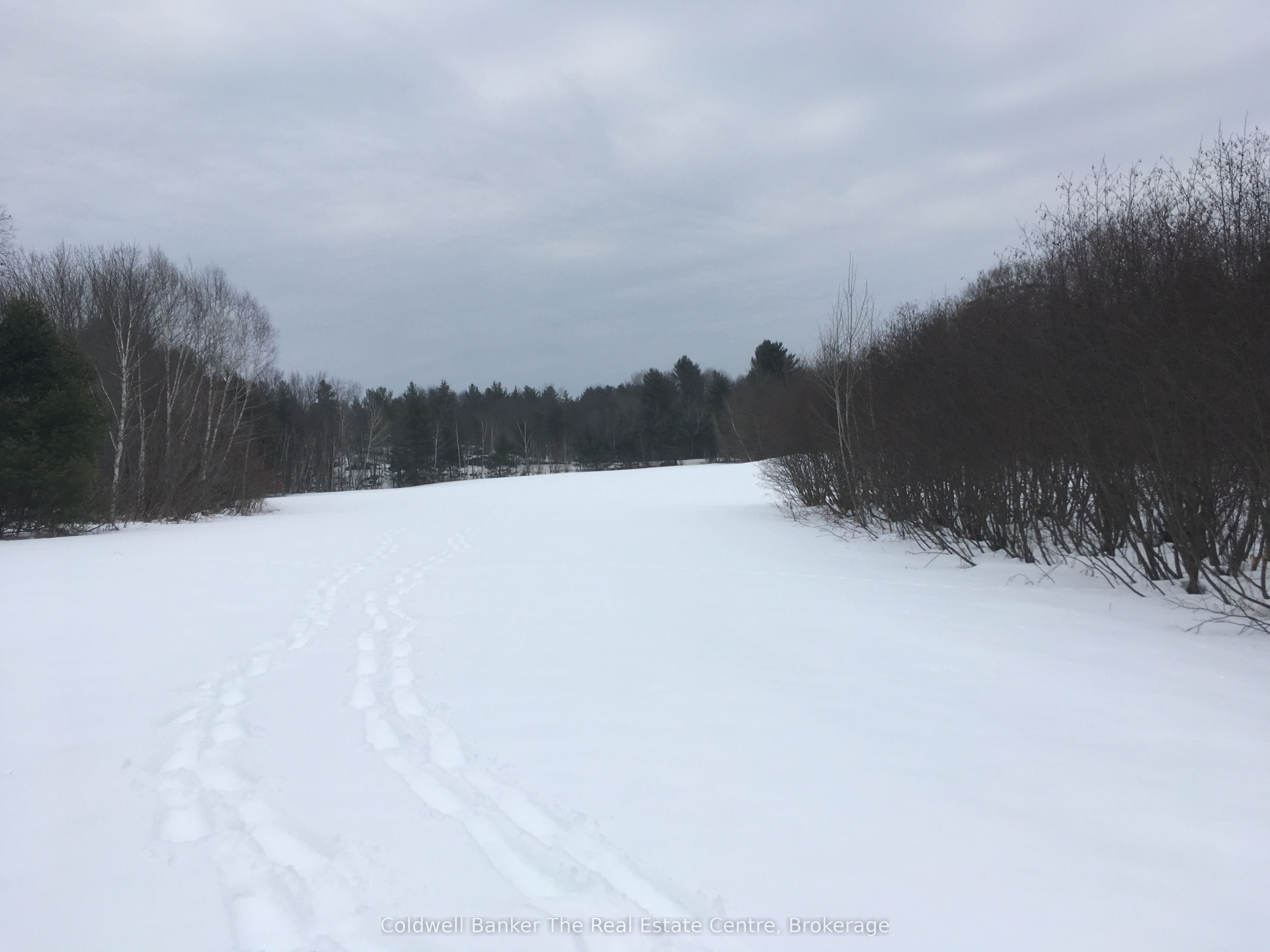 1517 Southwood Road Property Photo 10