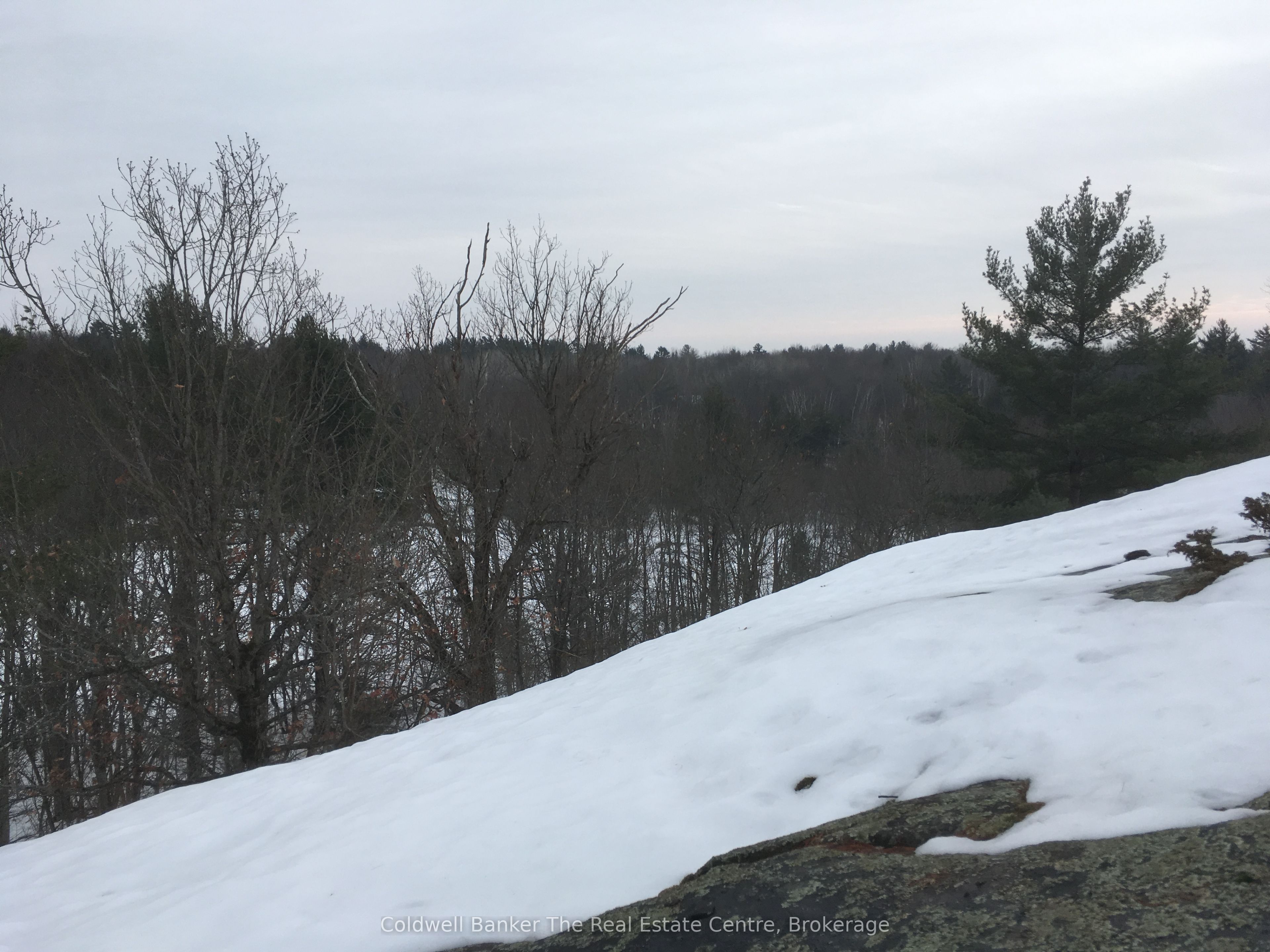 1517 Southwood Road Property Photo 11