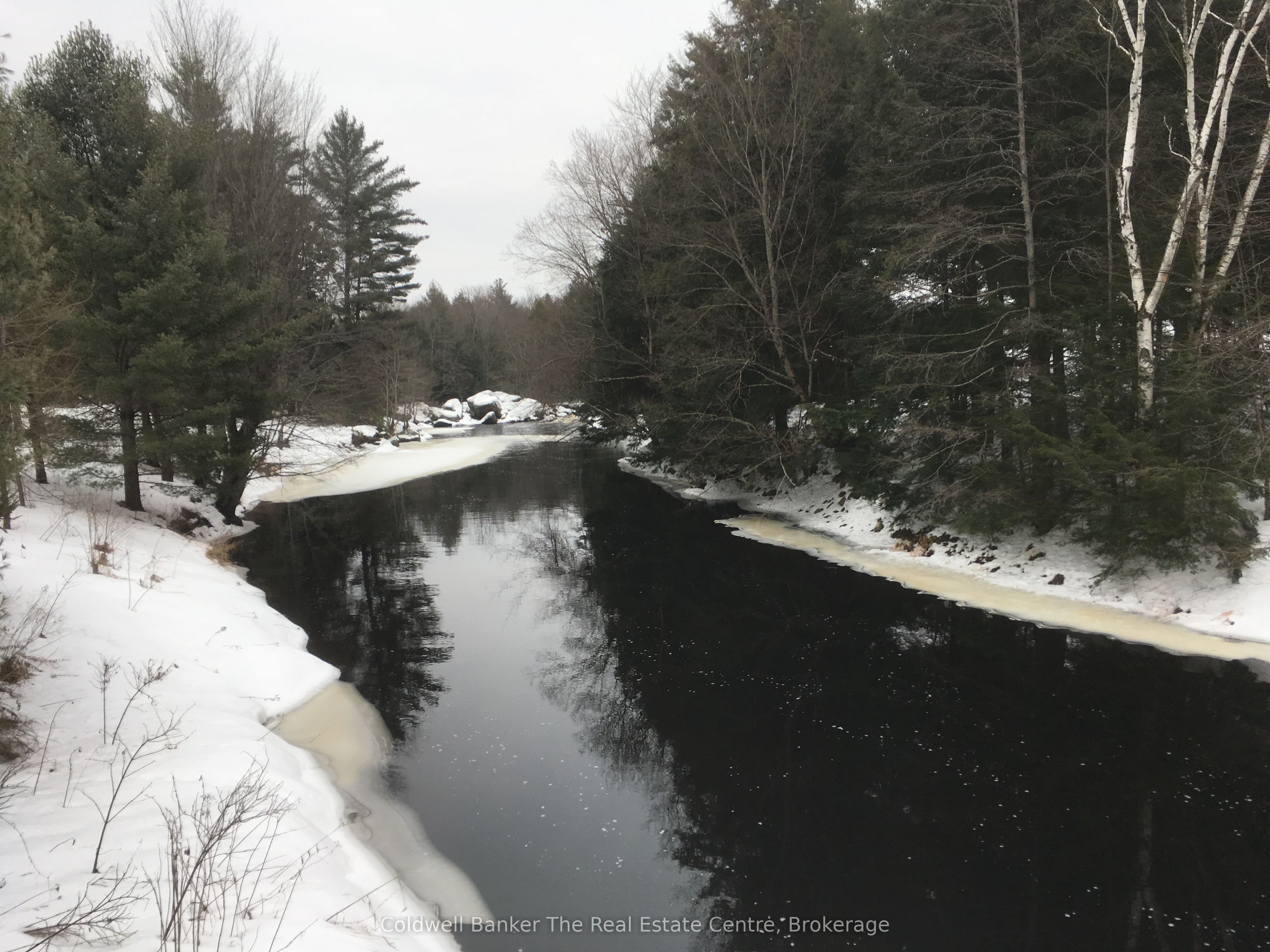 1517 Southwood Road Property Photo 12