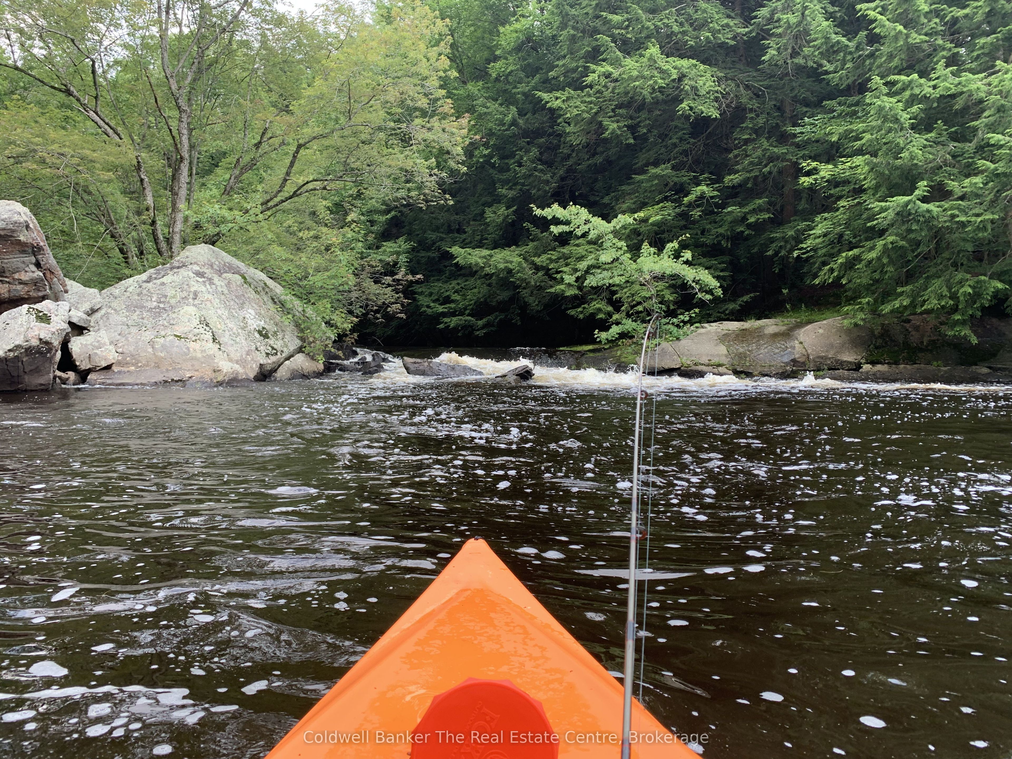 1517 Southwood Road Property Photo 16