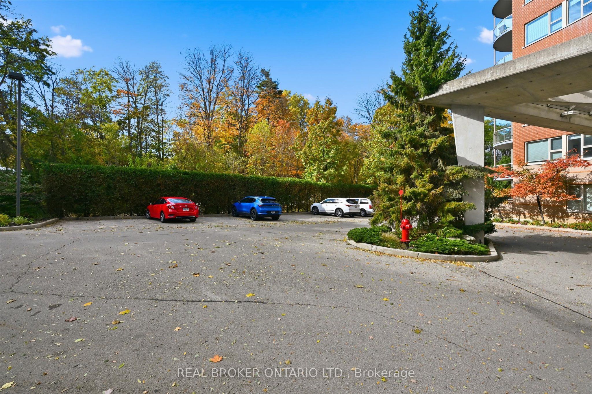 77 Governors Road 207 Property Photo 3