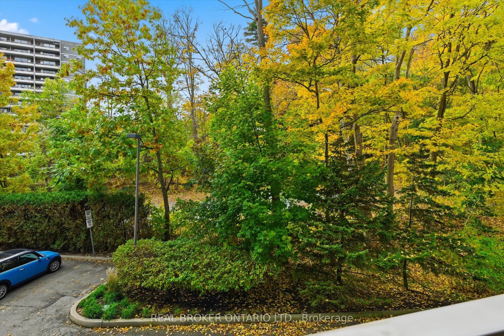 77 Governors Road 207 Property Photo 47