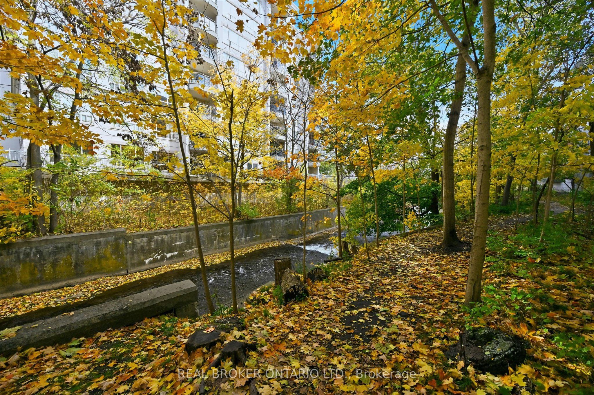 77 Governors Road 207 Property Photo 48