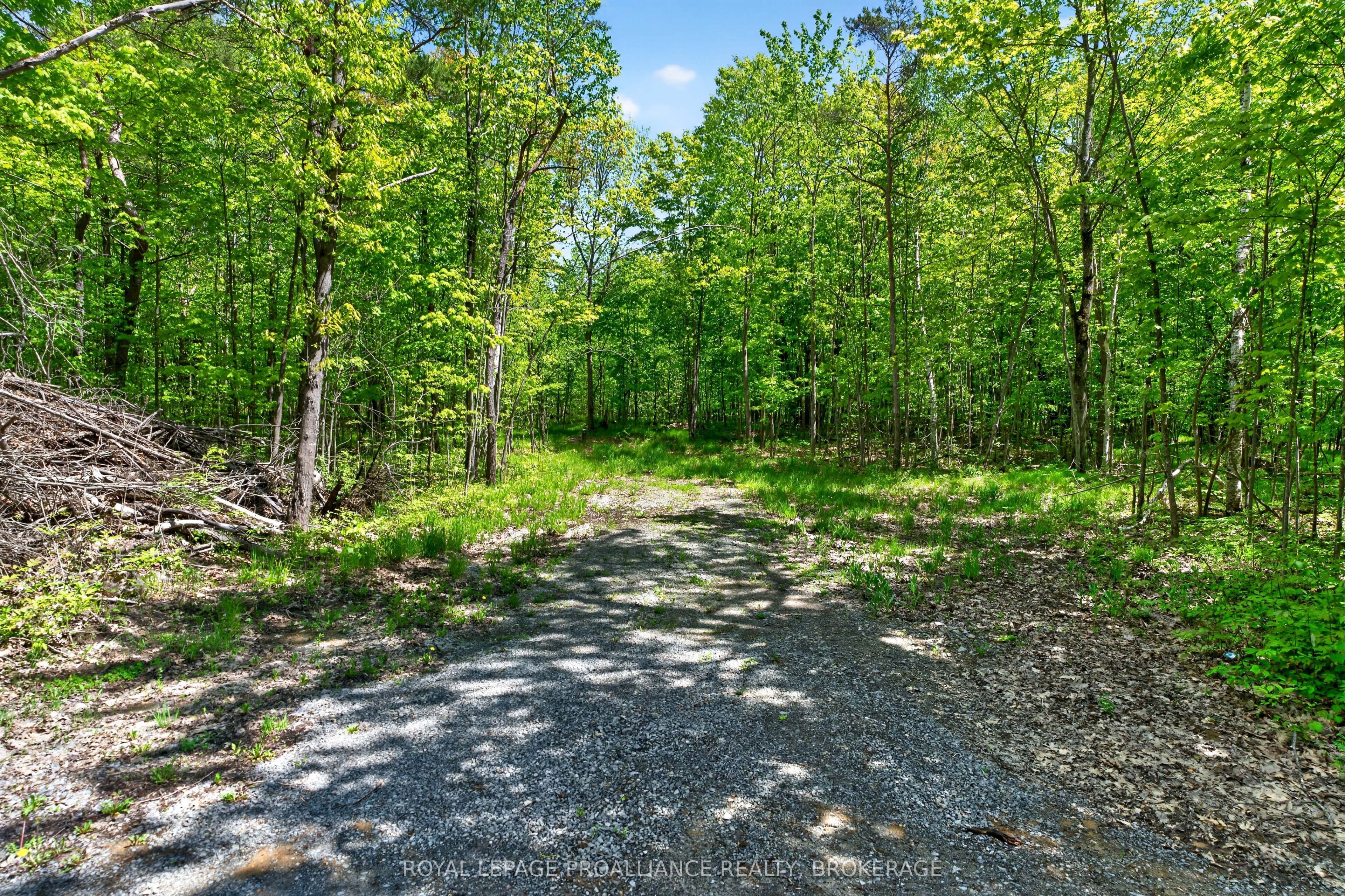 Pt Lts 12 & 13 Devil Lake Road Property Photo 1