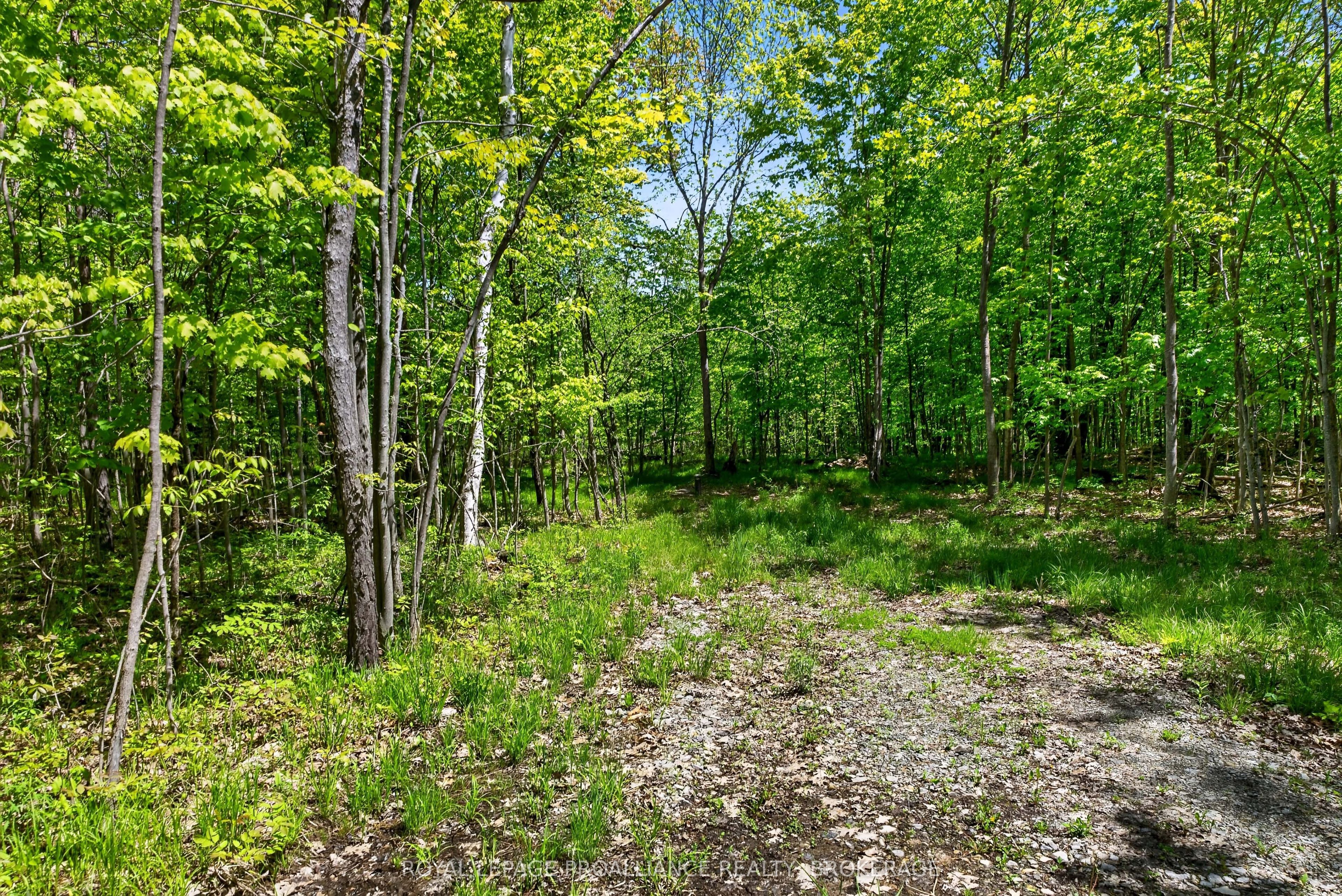 Pt Lts 12 & 13 Devil Lake Road Property Photo 2