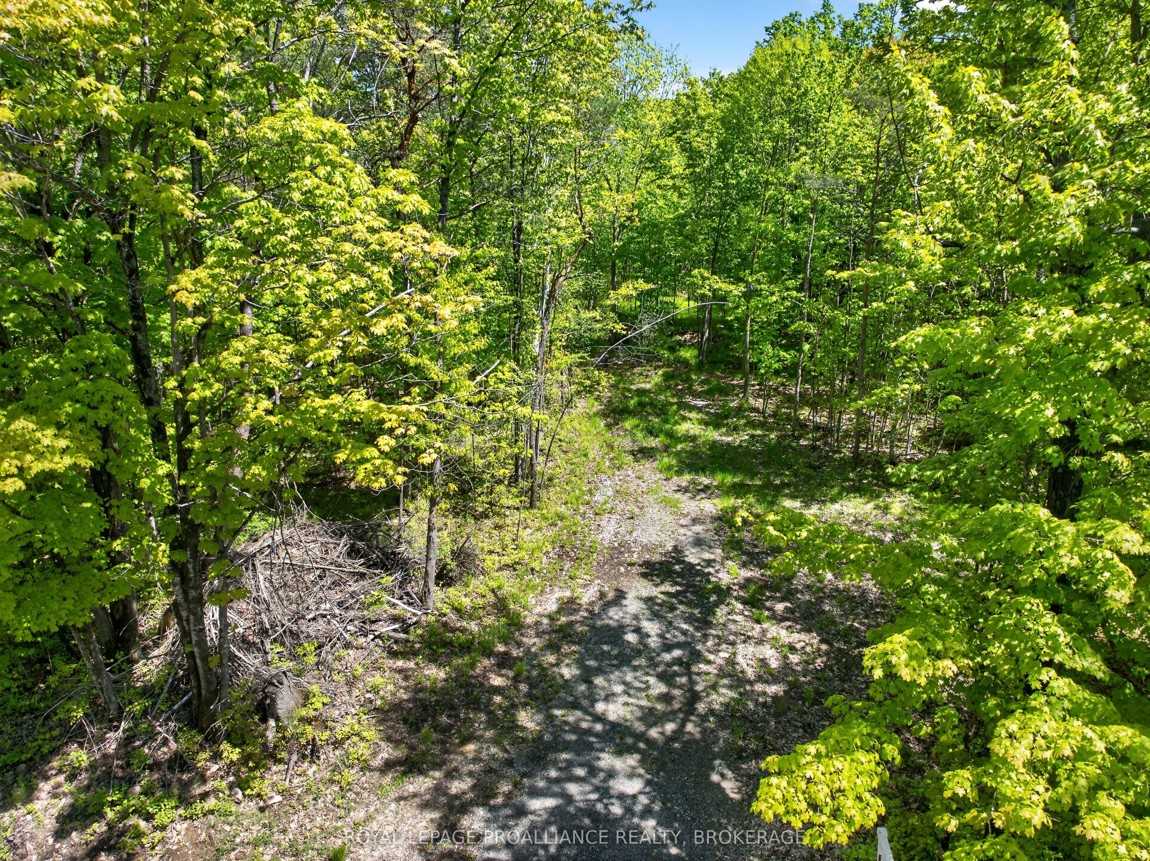 Pt Lts 12 & 13 Devil Lake Road Property Photo 6
