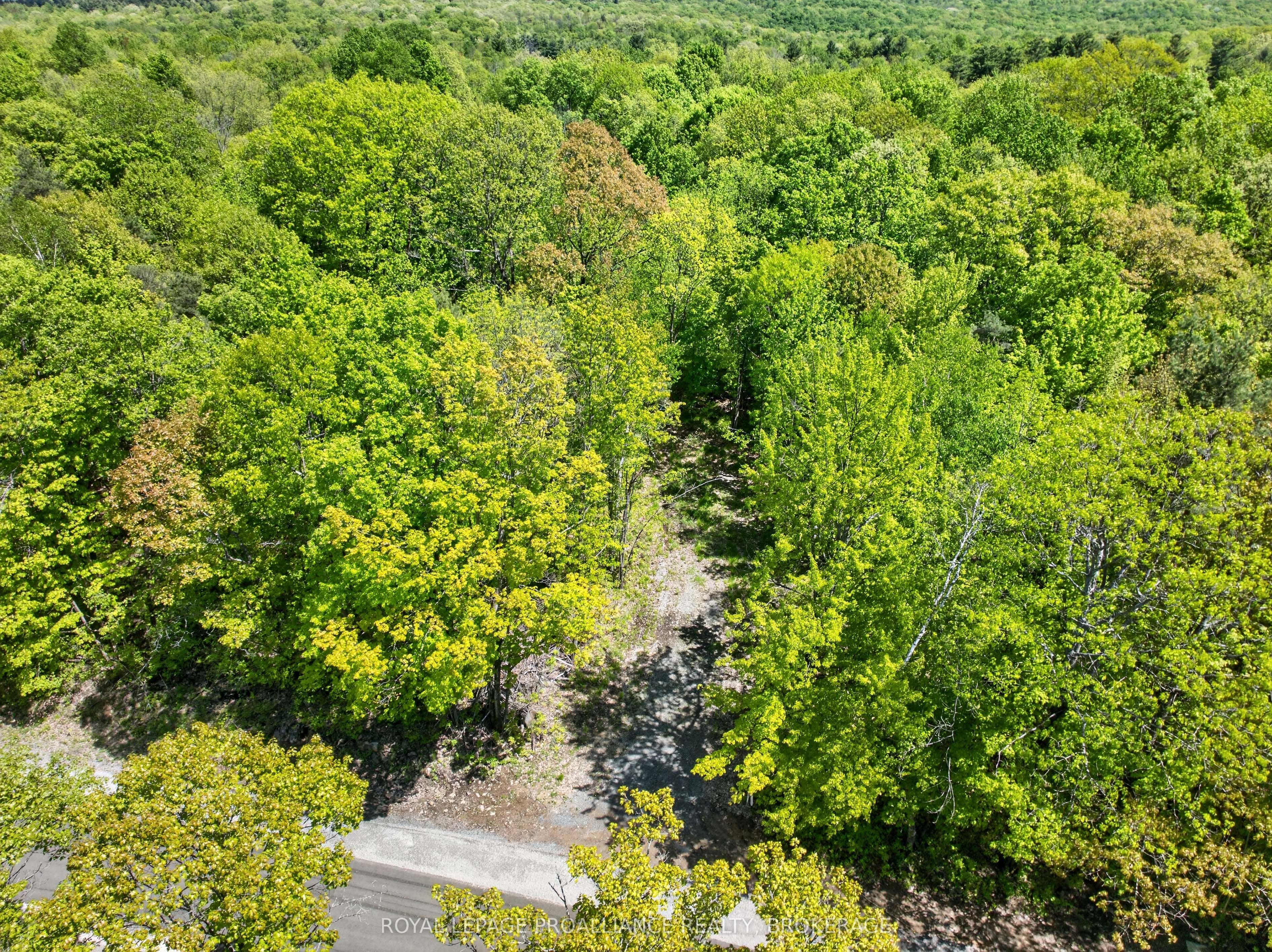 Pt Lts 12 & 13 Devil Lake Road Property Photo 7