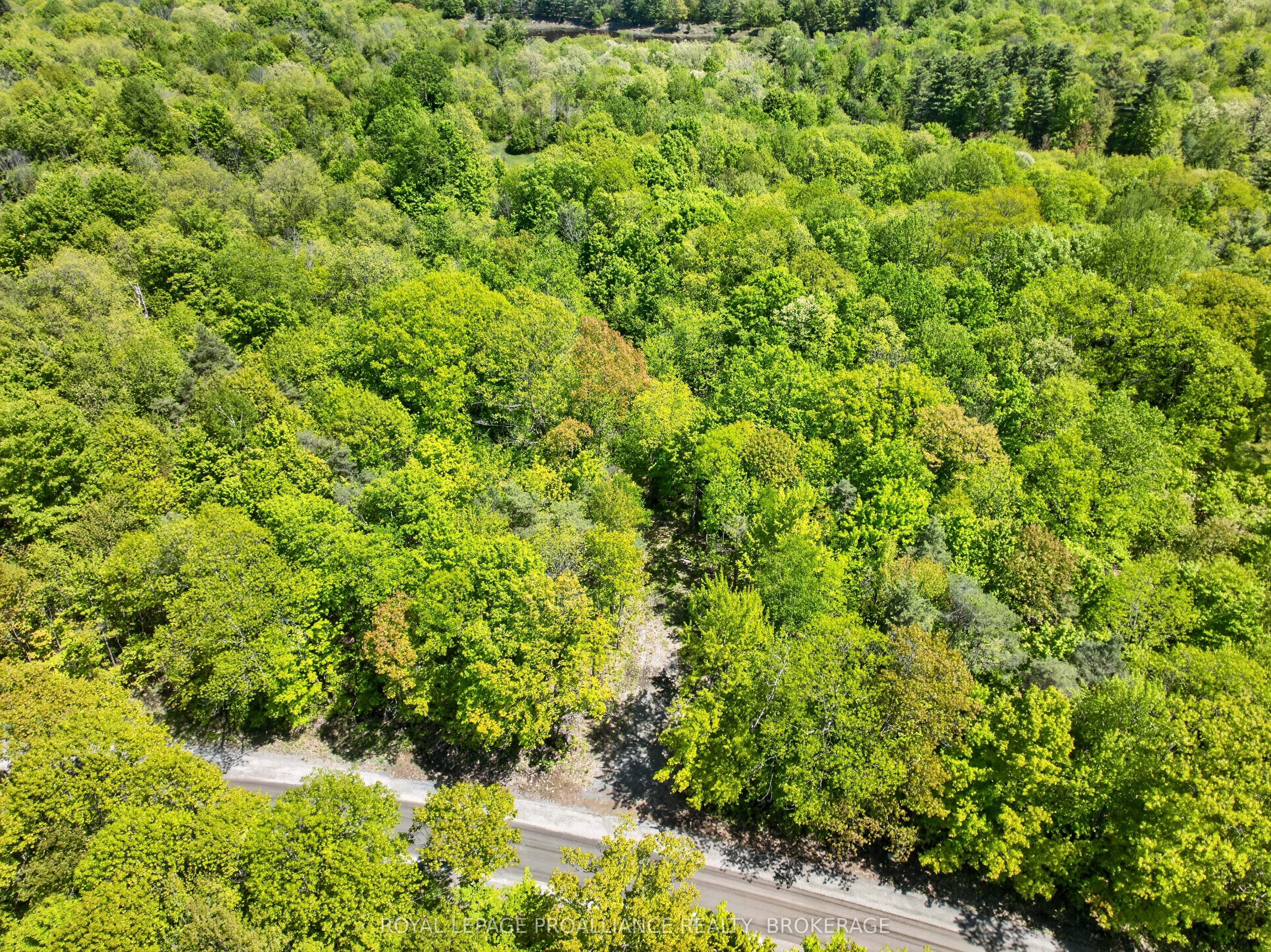 Pt Lts 12 & 13 Devil Lake Road Property Photo 8