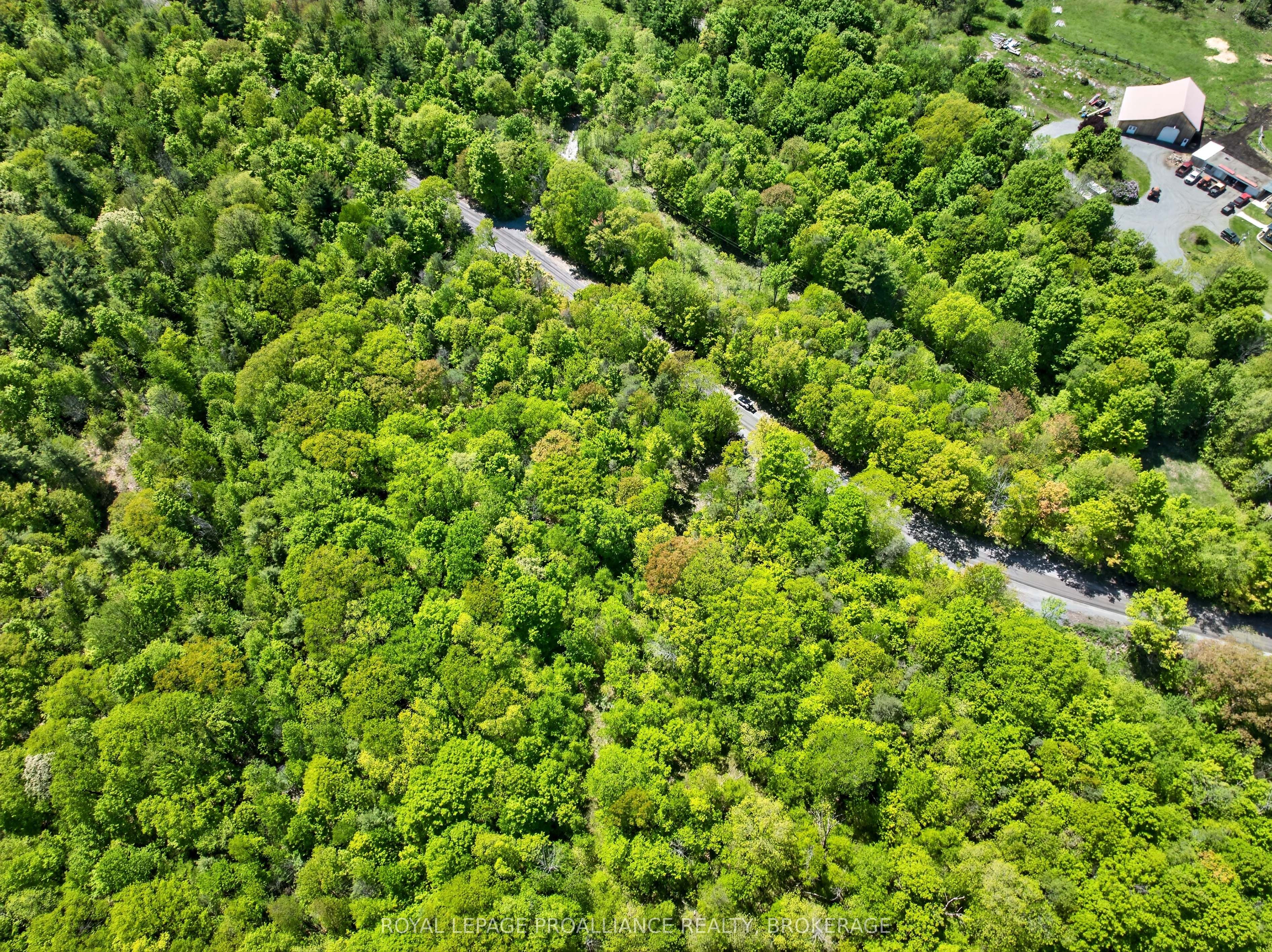 Pt Lts 12 & 13 Devil Lake Road Property Photo 11