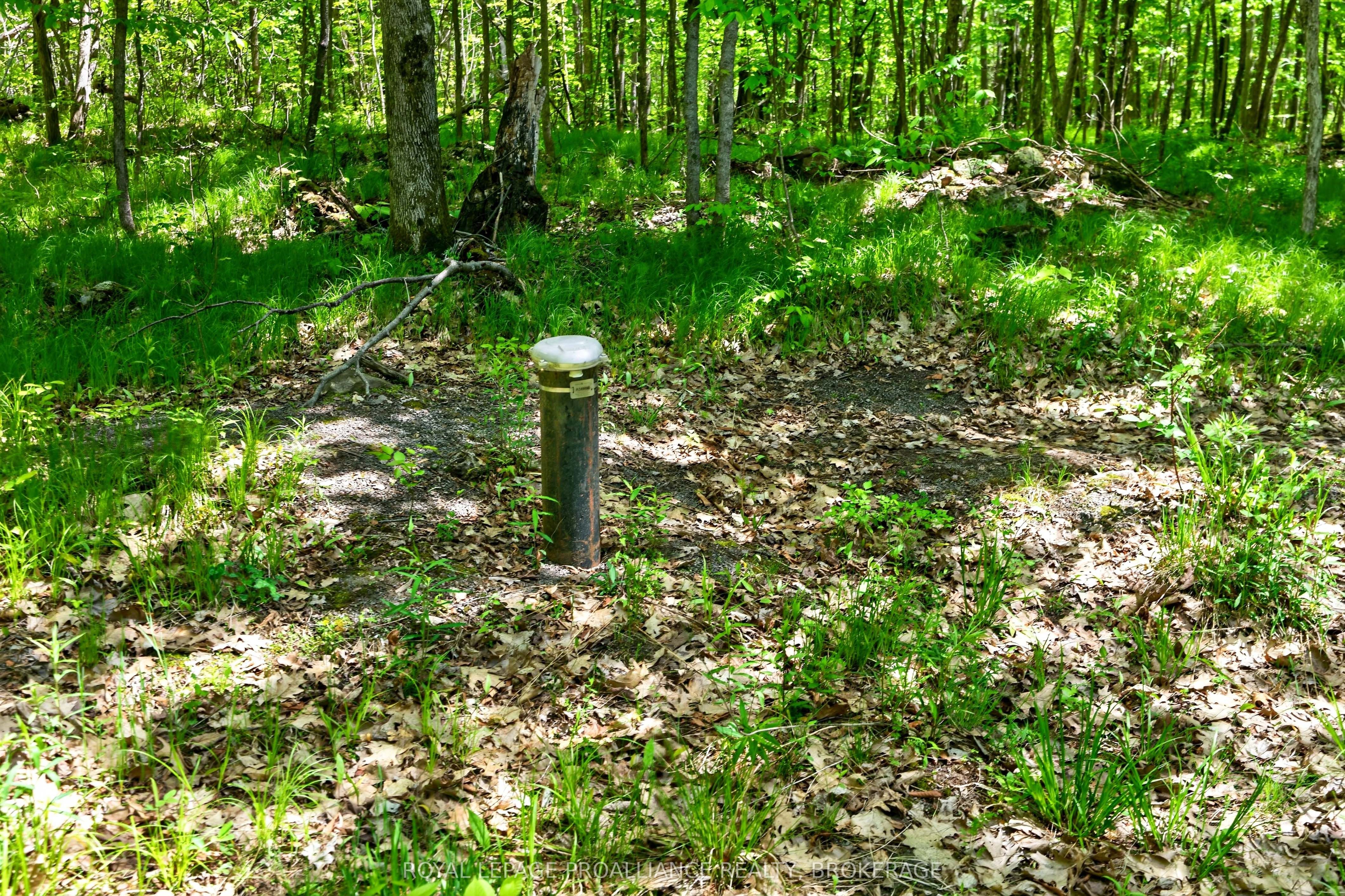 Pt Lts 12 & 13 Devil Lake Road Property Photo 12