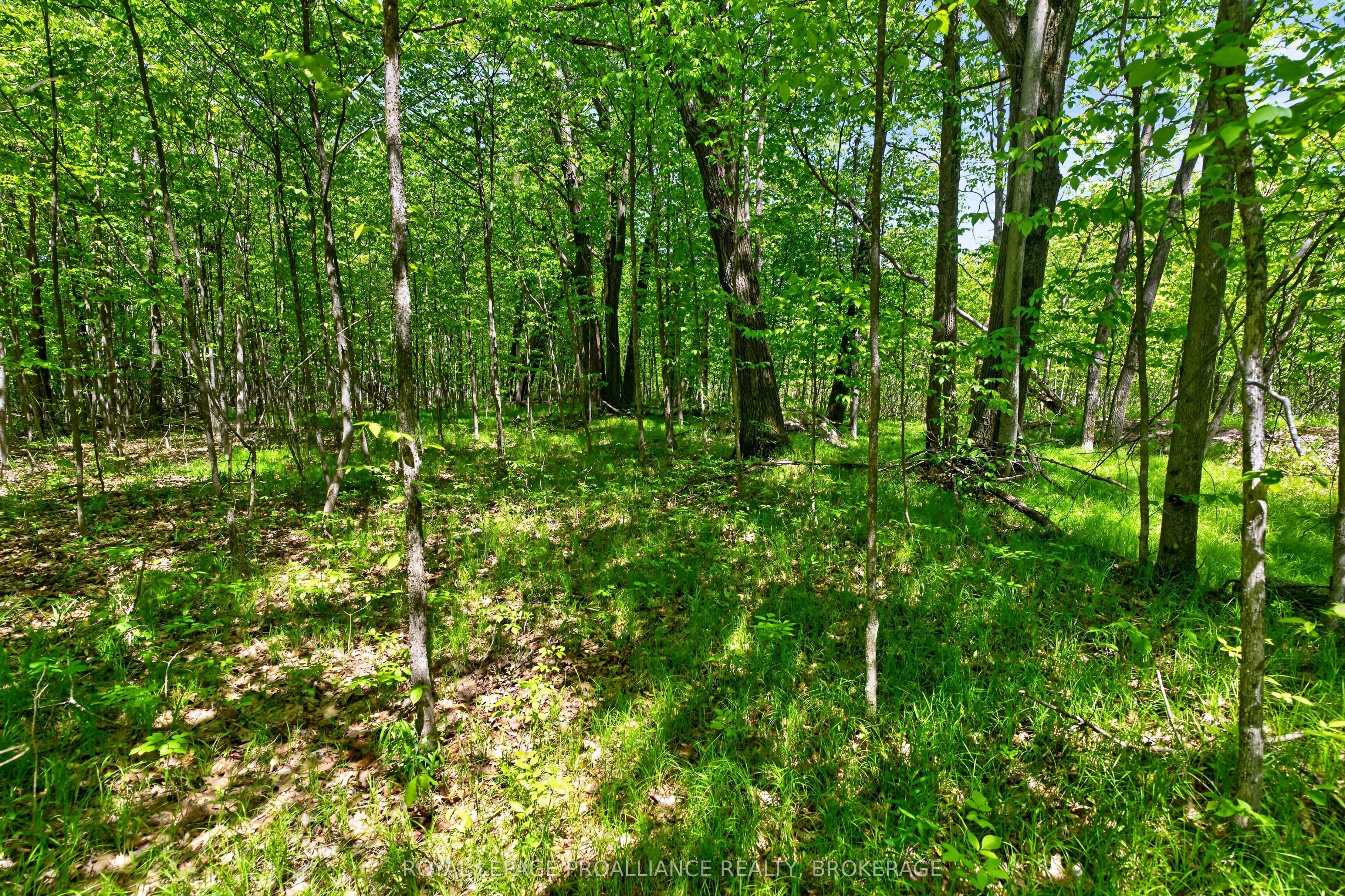 Pt Lts 12 & 13 Devil Lake Road Property Photo 14