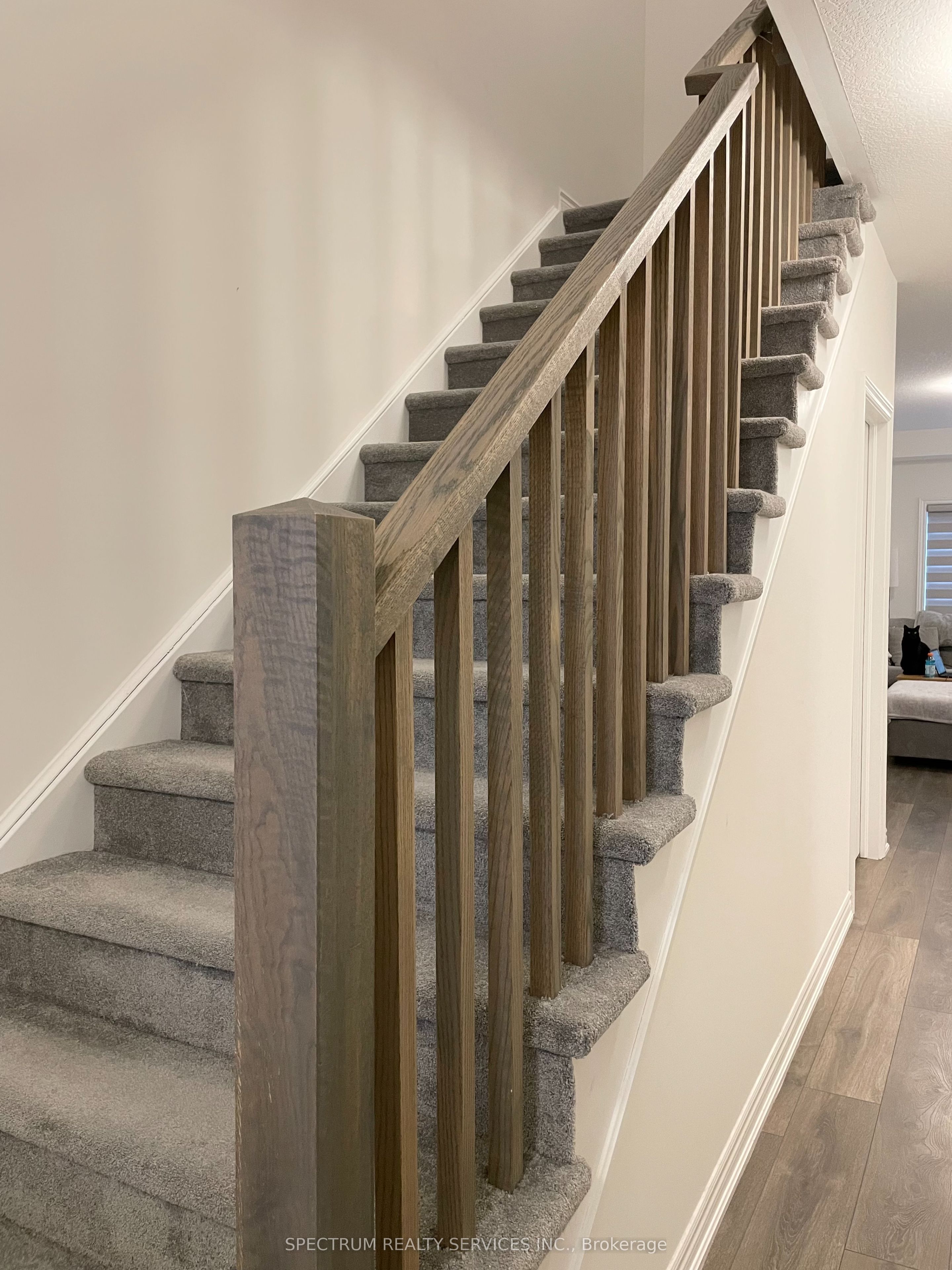 5 Poole Street Property Photo 10