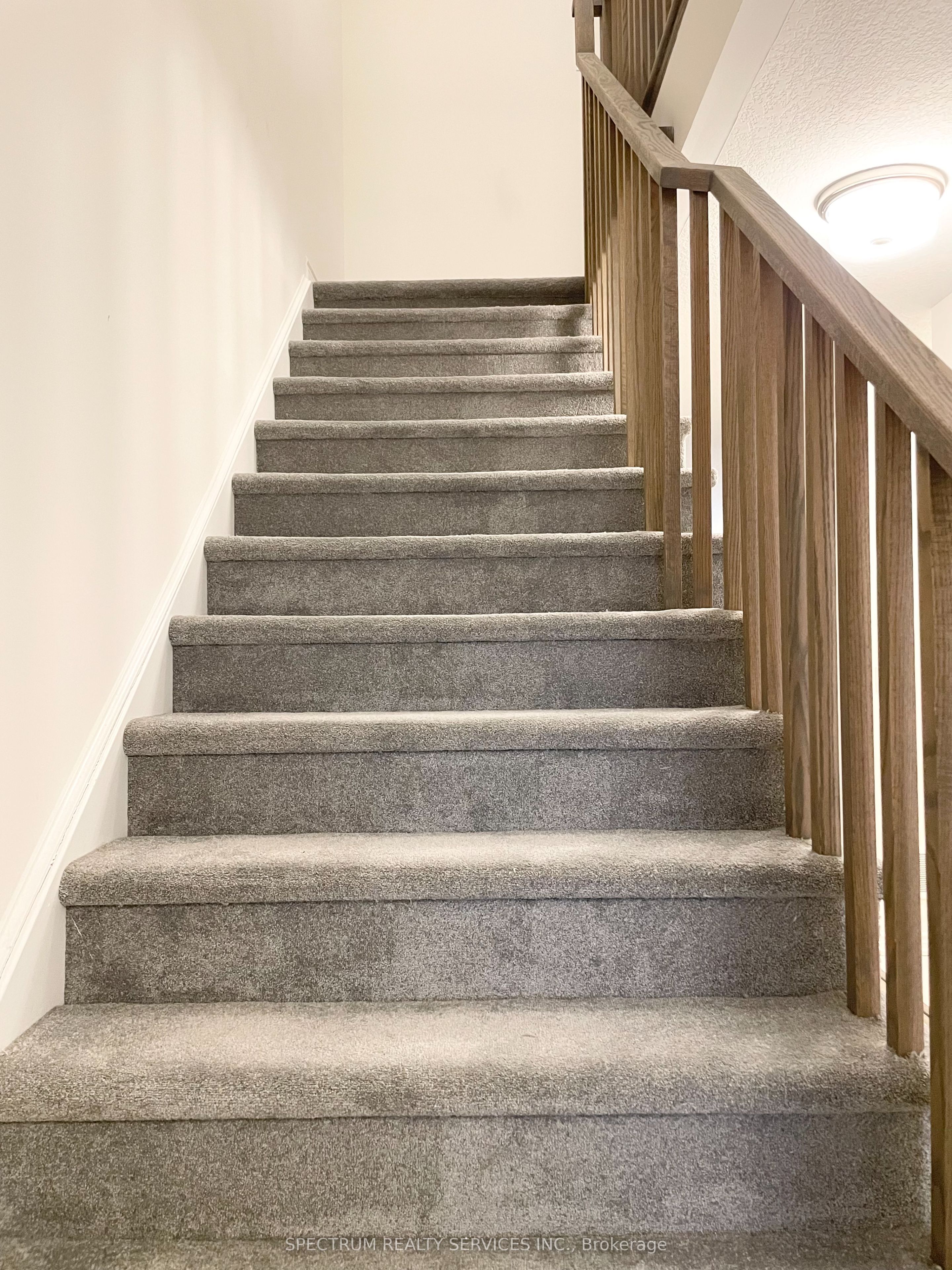 5 Poole Street Property Photo 11