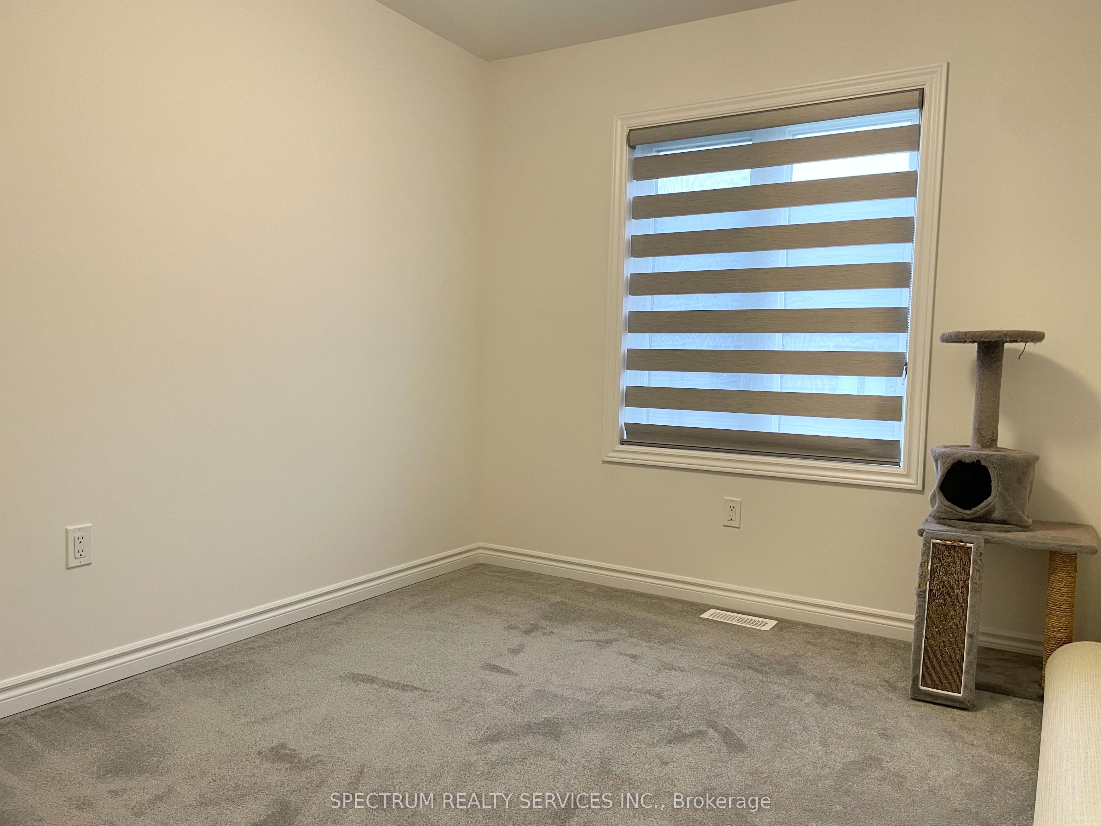 5 Poole Street Property Photo 14