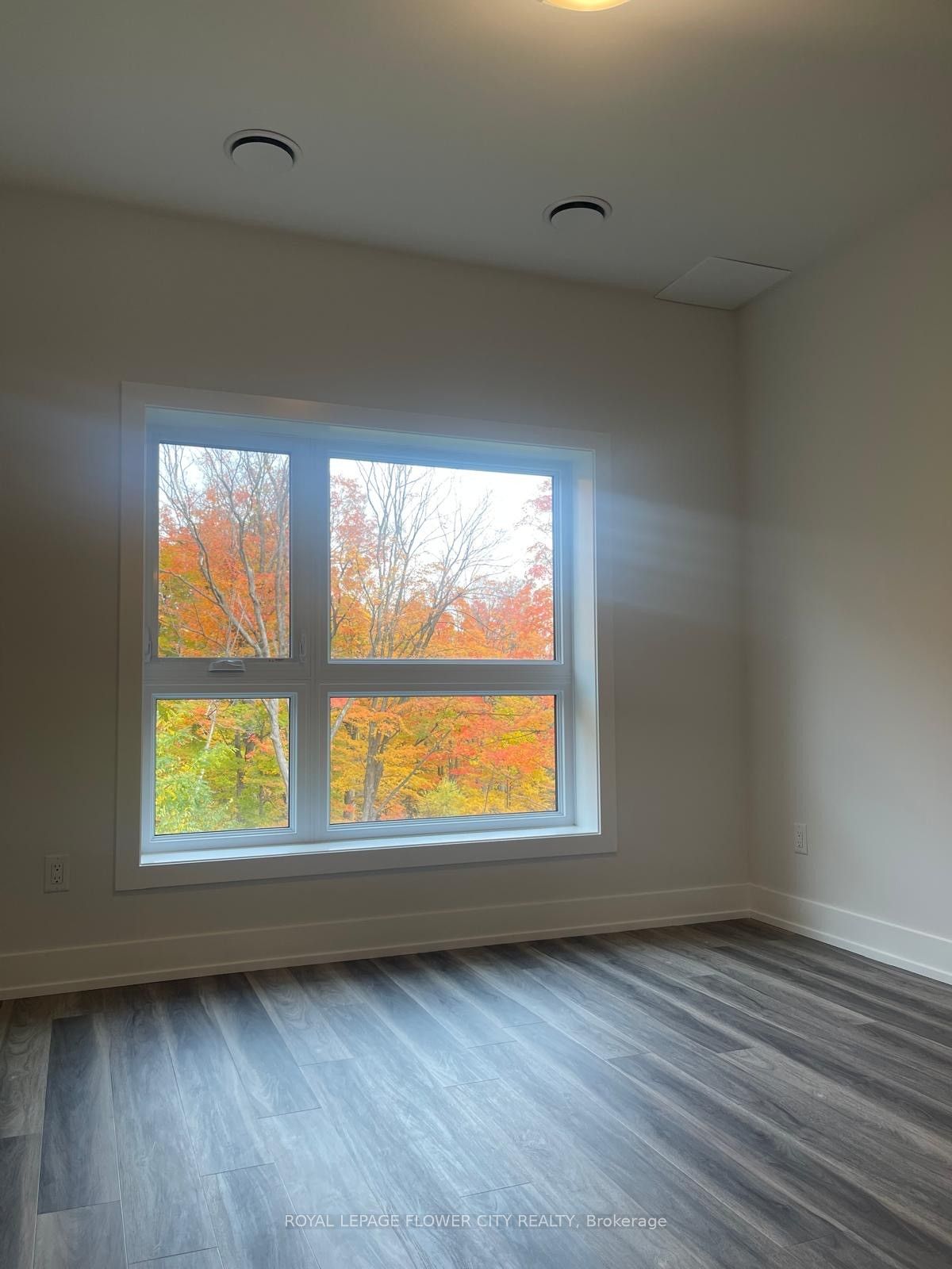 1100 Lackner Place 223 Property Photo 9