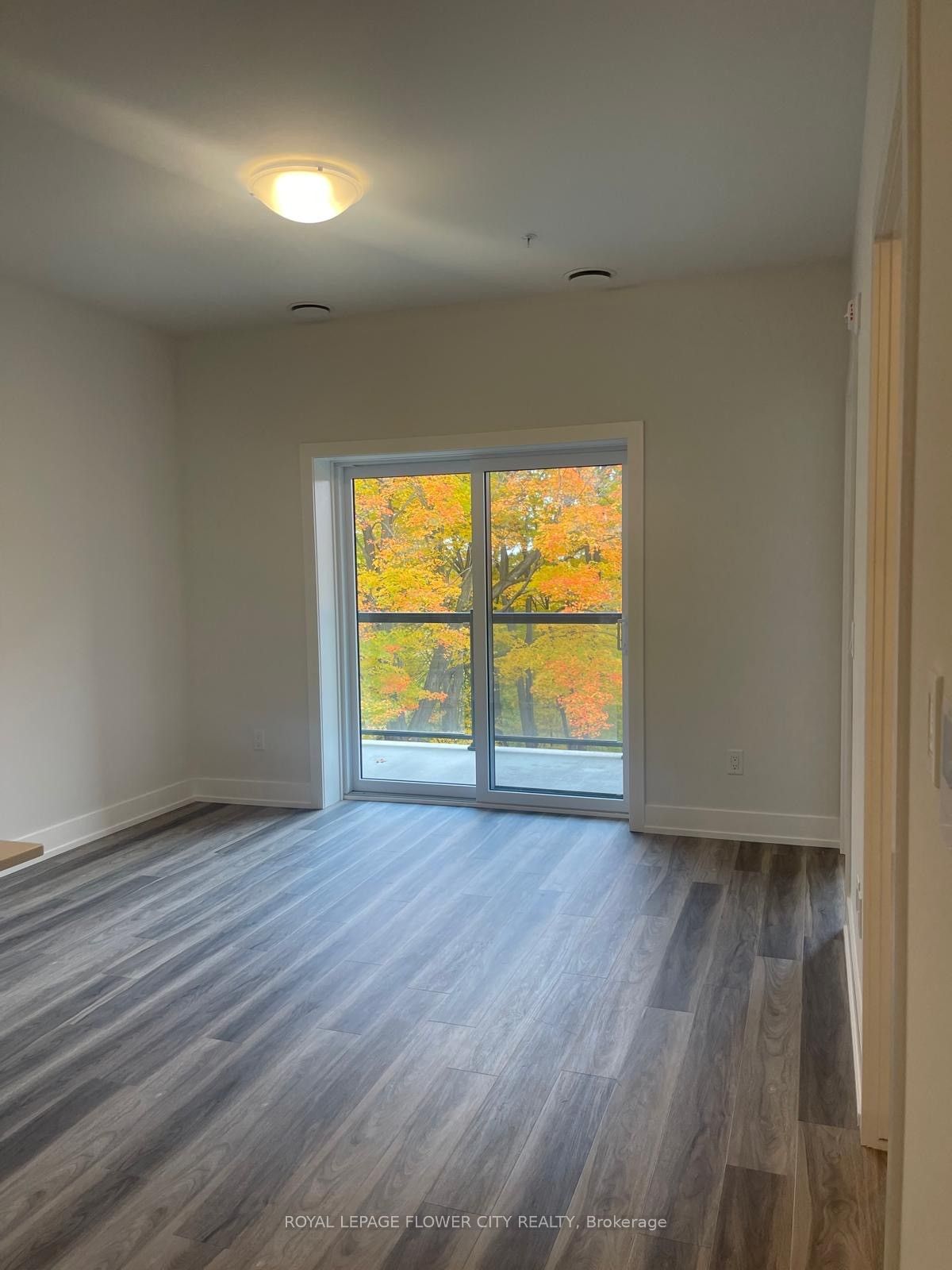 1100 Lackner Place 223 Property Photo 10