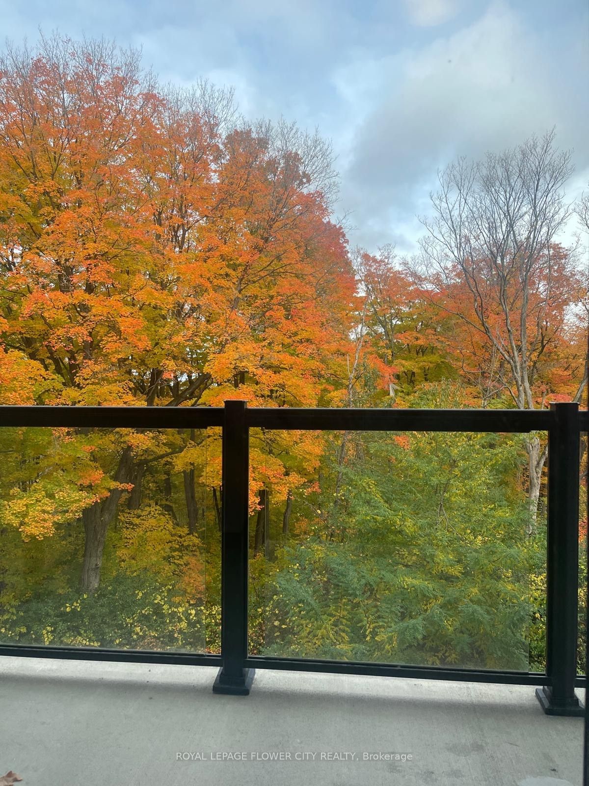 1100 Lackner Place 223 Property Photo 12