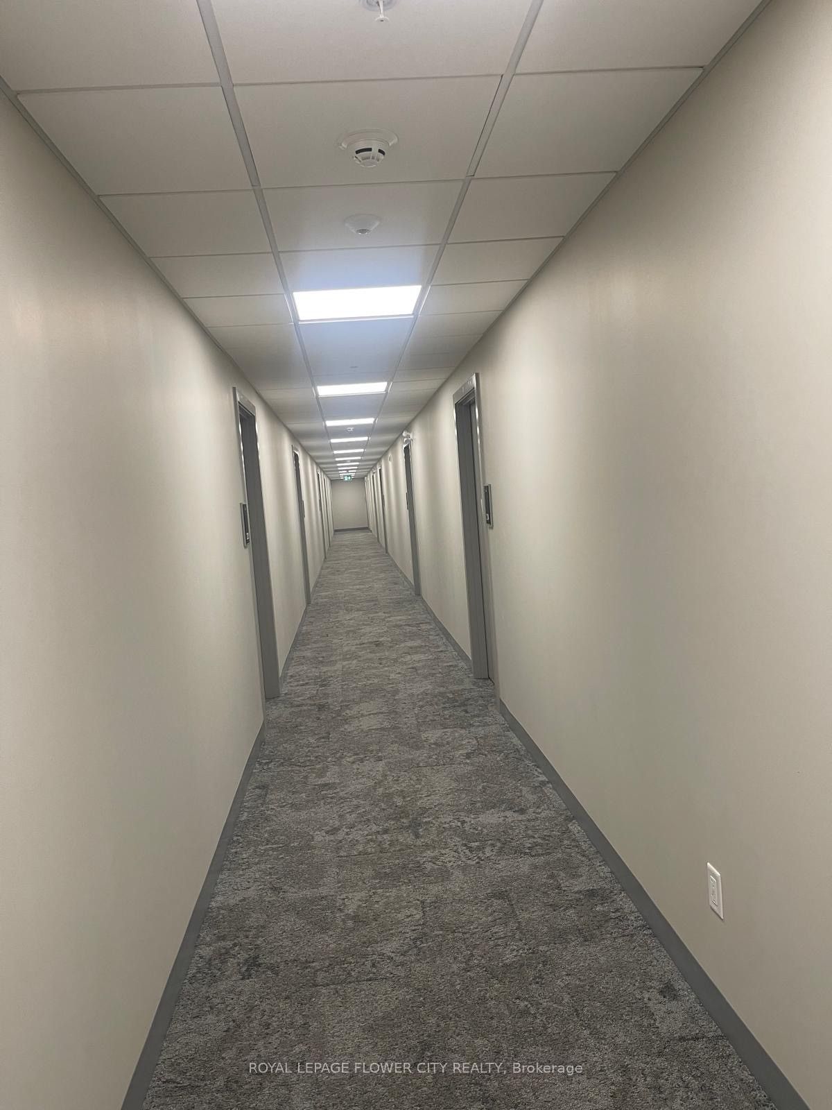 1100 Lackner Place 223 Property Photo 13