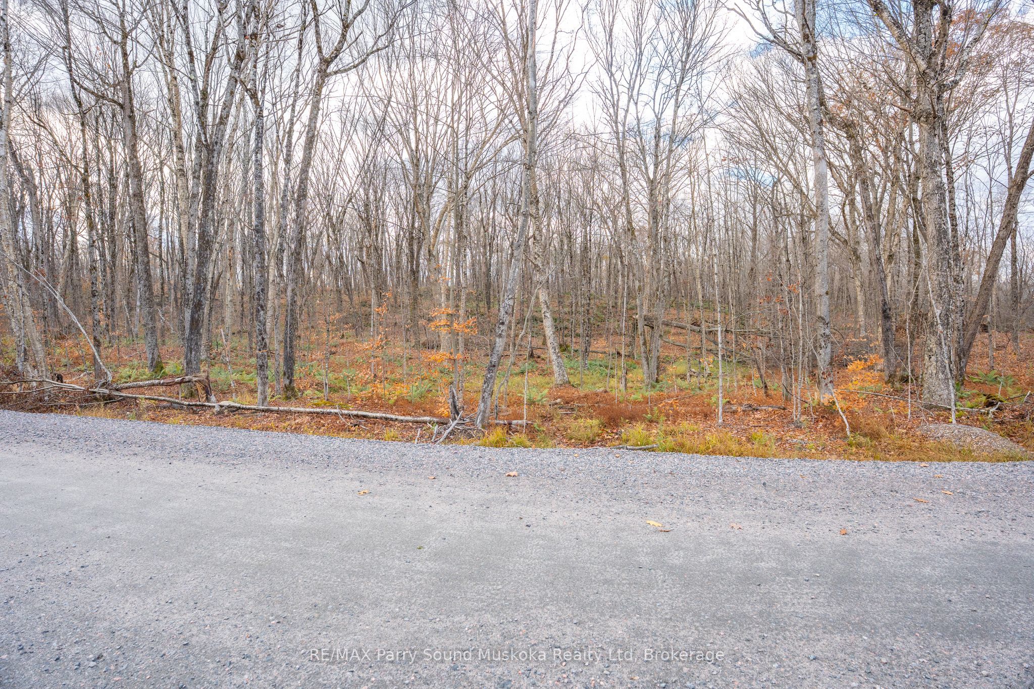 Part 7 Standing People Road Property Photo 17