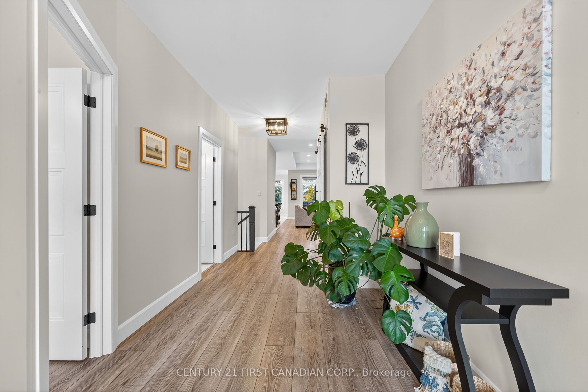 113 Macdonald Street Property Photo 5