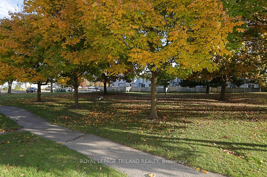 152 Monmore Rd Property Photo 27