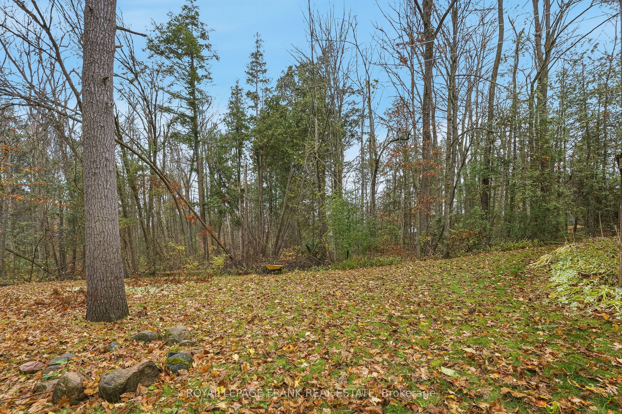 23 Trillium Court Property Photo 46