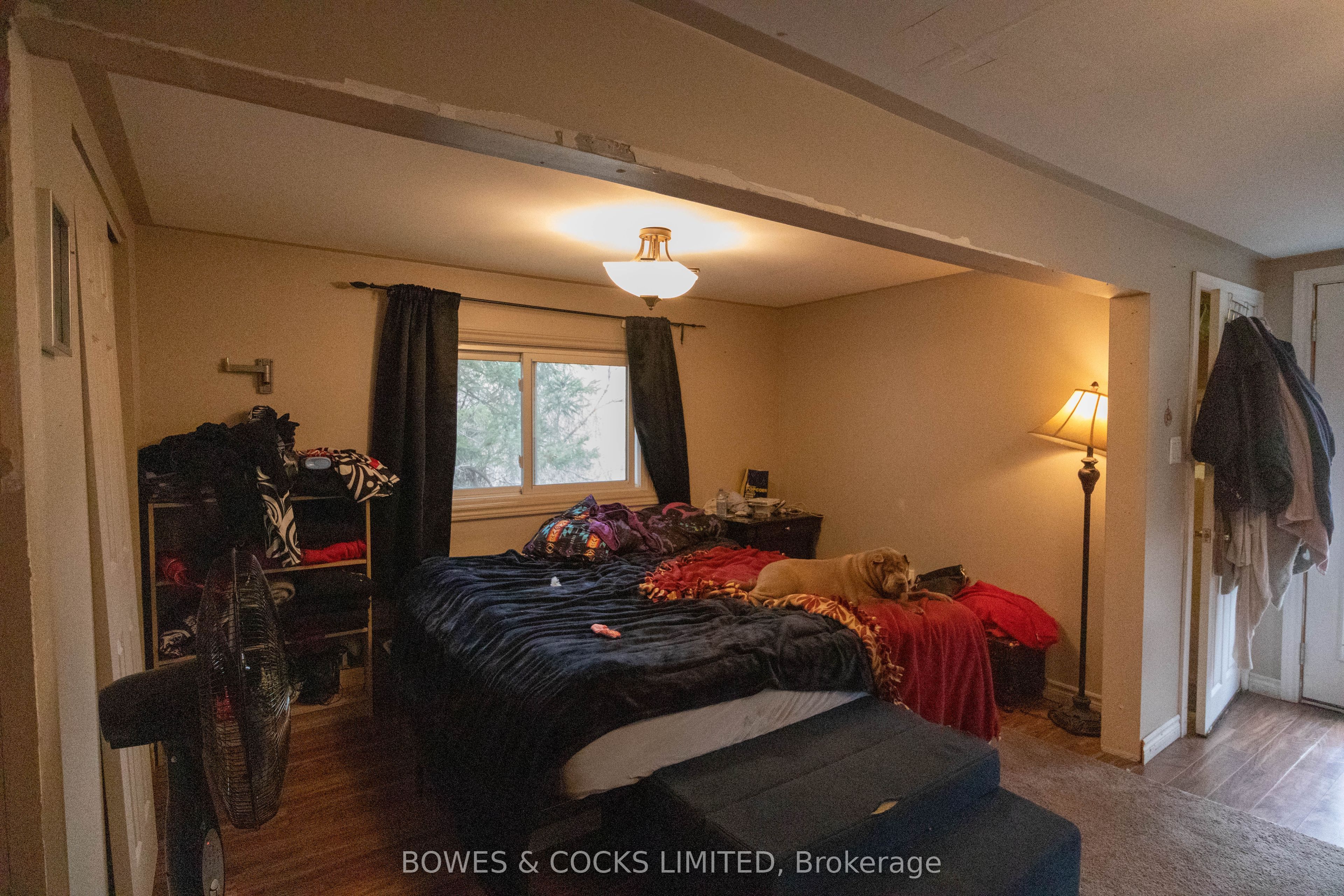 35 Cleak Ave Property Photo 26