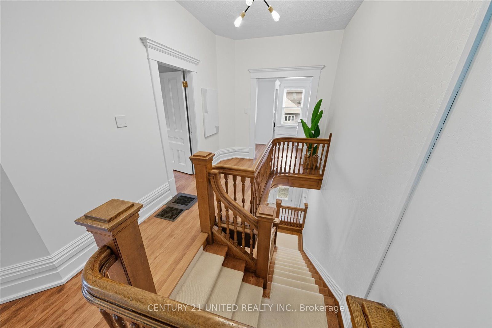 559 Downie St Property Photo 20