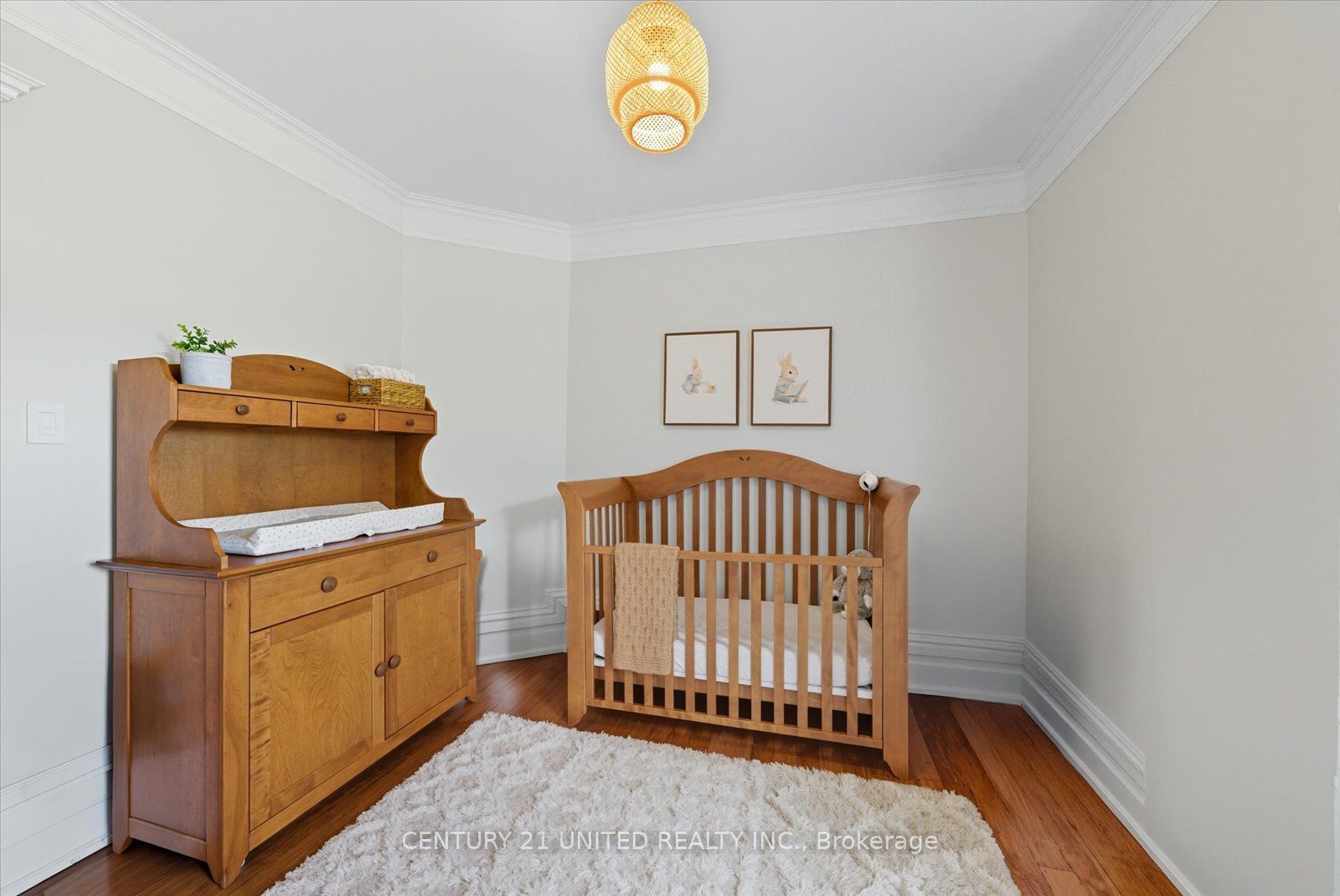 559 Downie St Property Photo 32