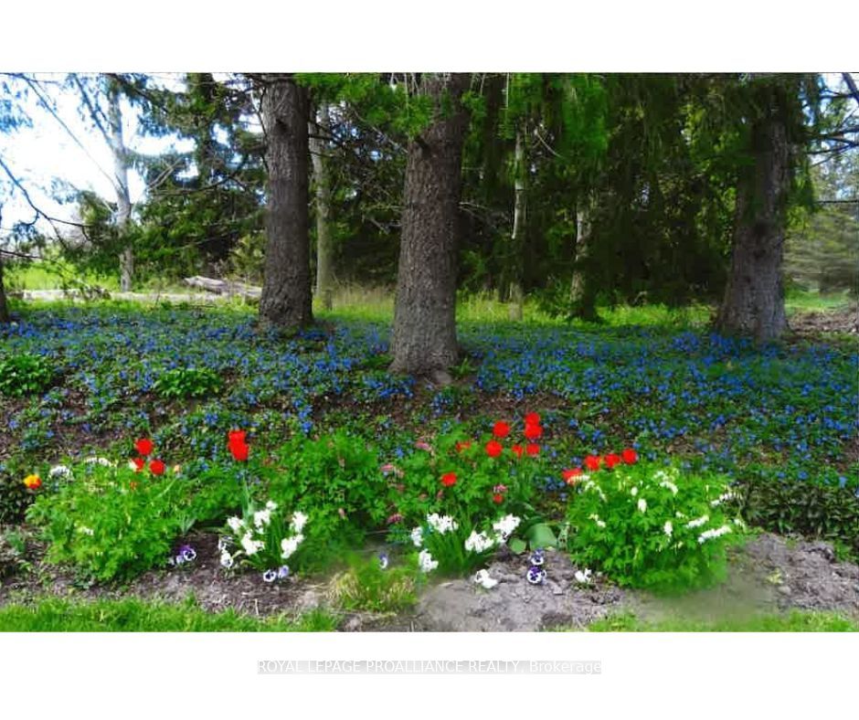 7 North Drive Property Photo 7