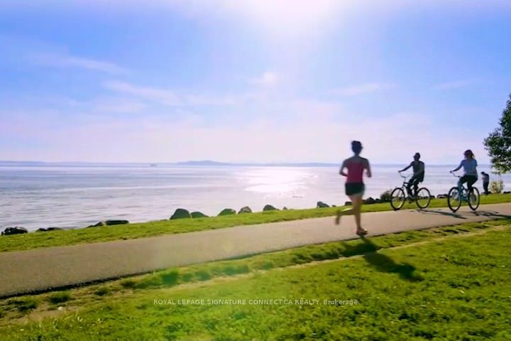 1 Jarvis Street 1017 Property Photo 8