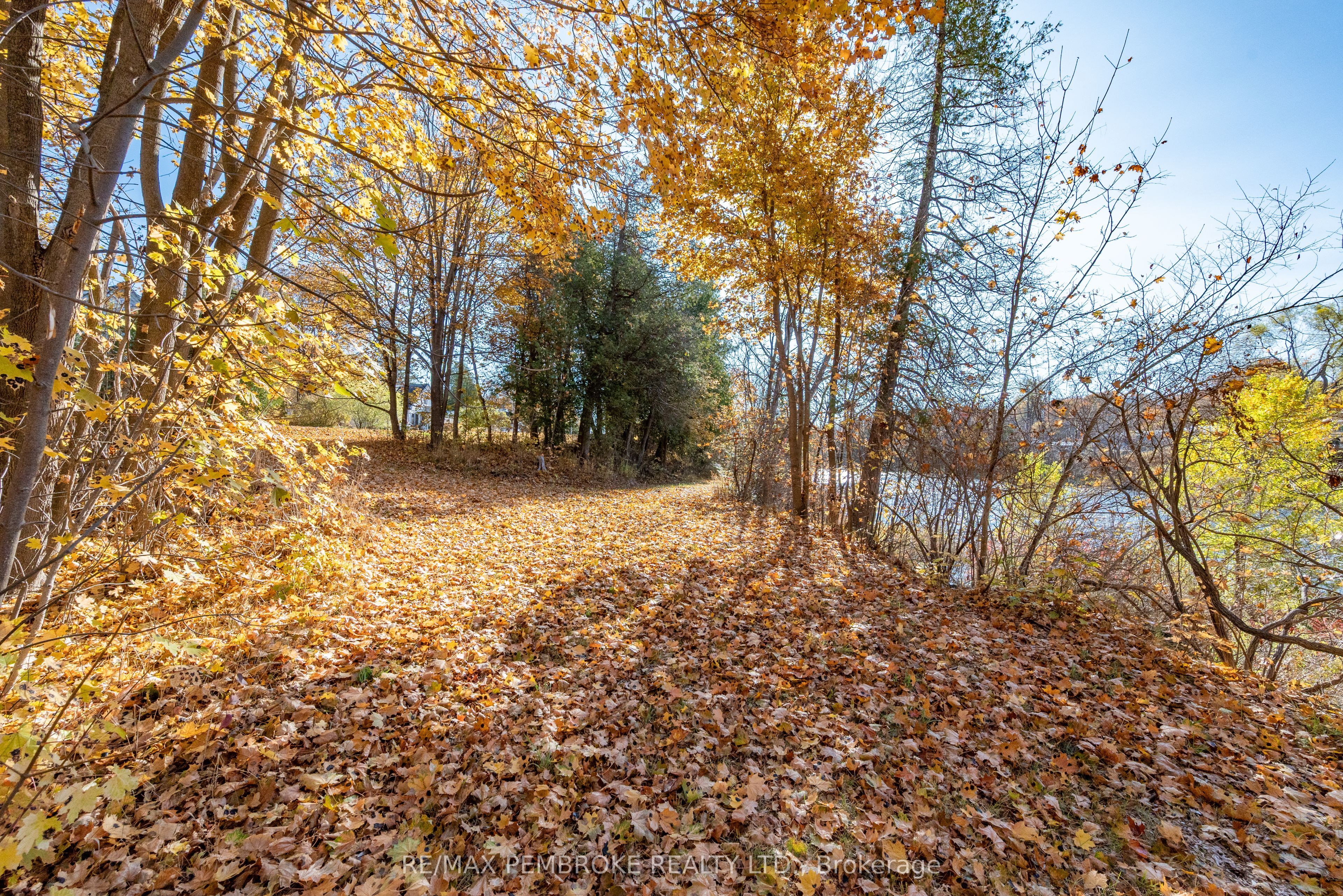 1793 Mill Street Property Photo 42