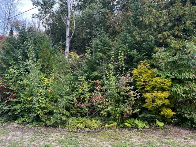 1 Shore Road Property Photo 2