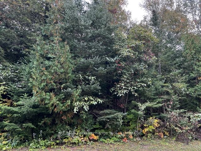 2 Shore Road Property Photo 8