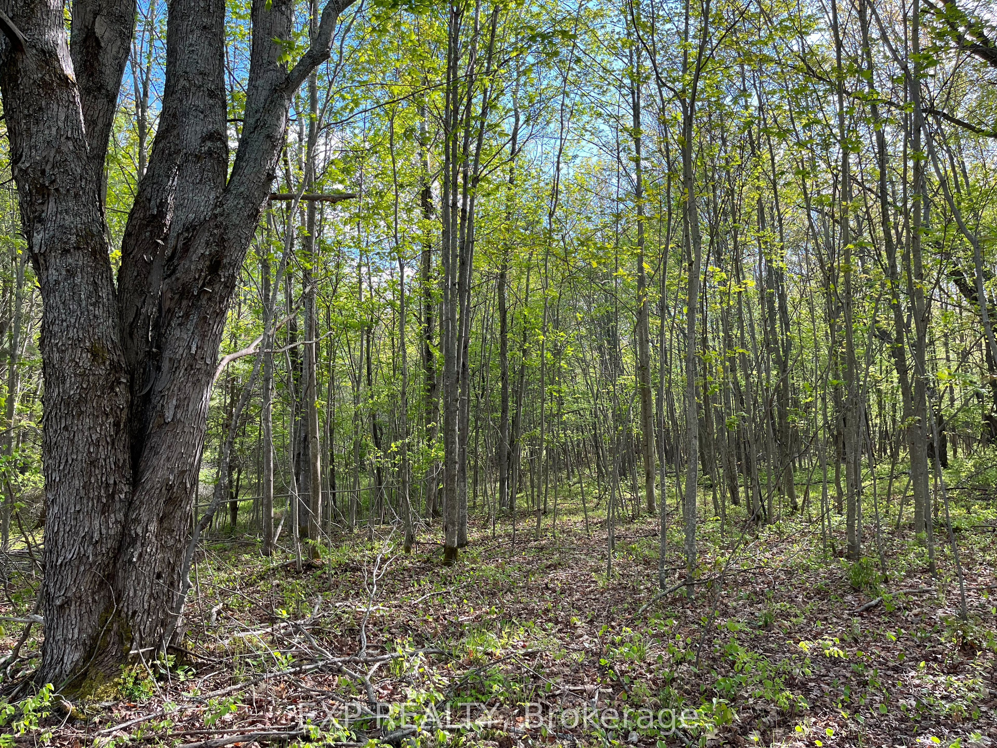Lot 7 Casson Trail Property Photo 3