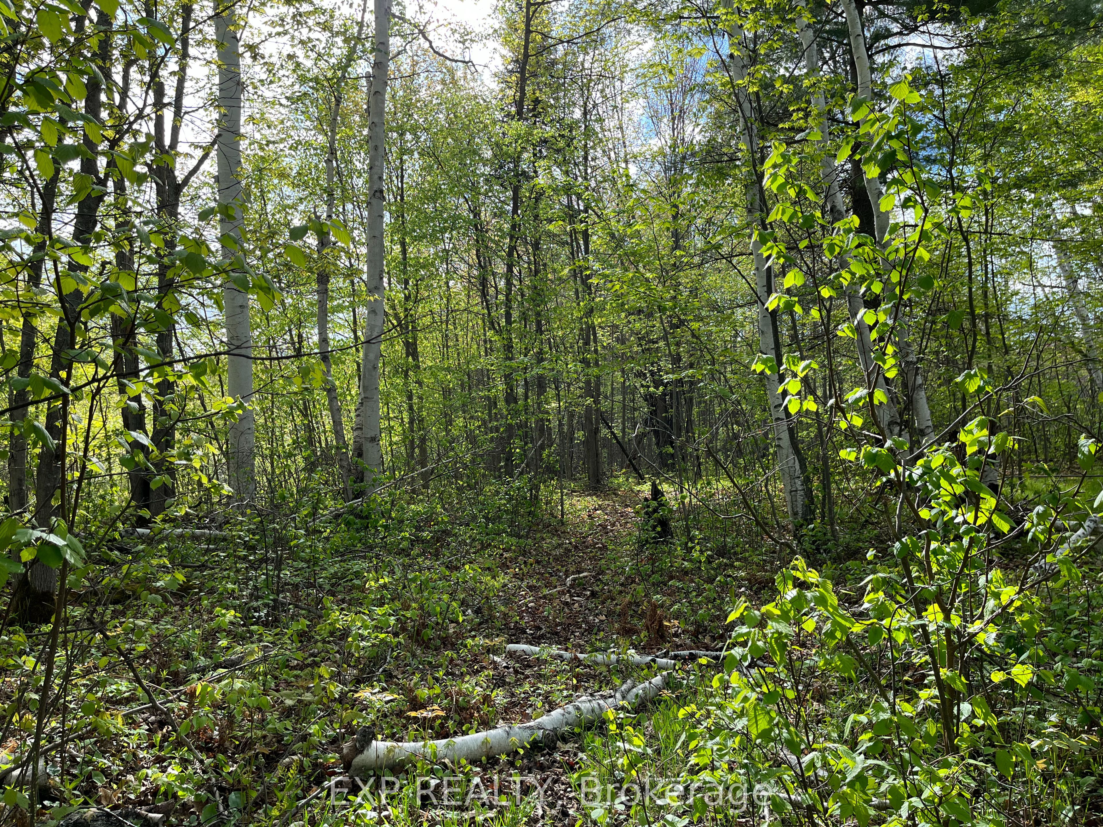 Lot 7 Casson Trail Property Photo 4