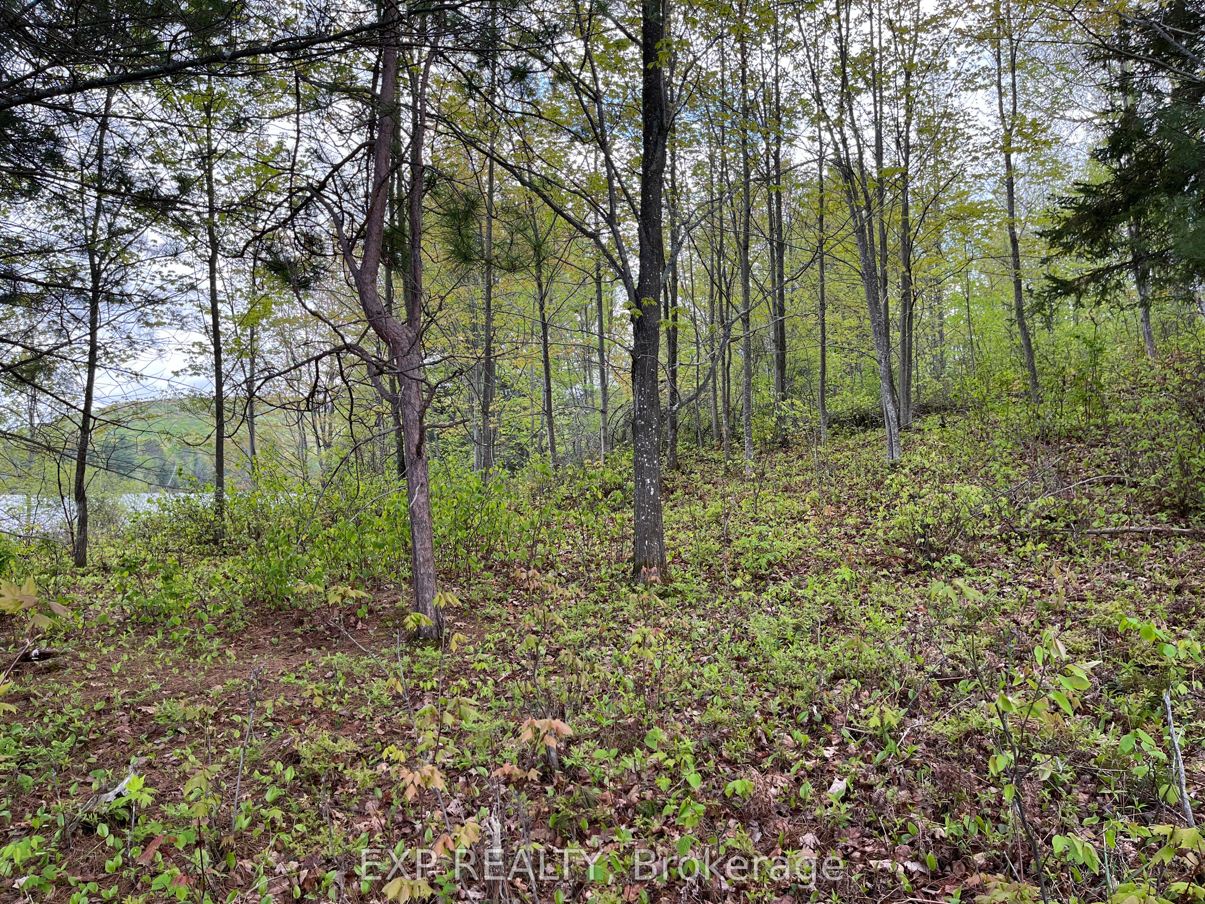 Lot 9 Casson Trail Property Photo 5