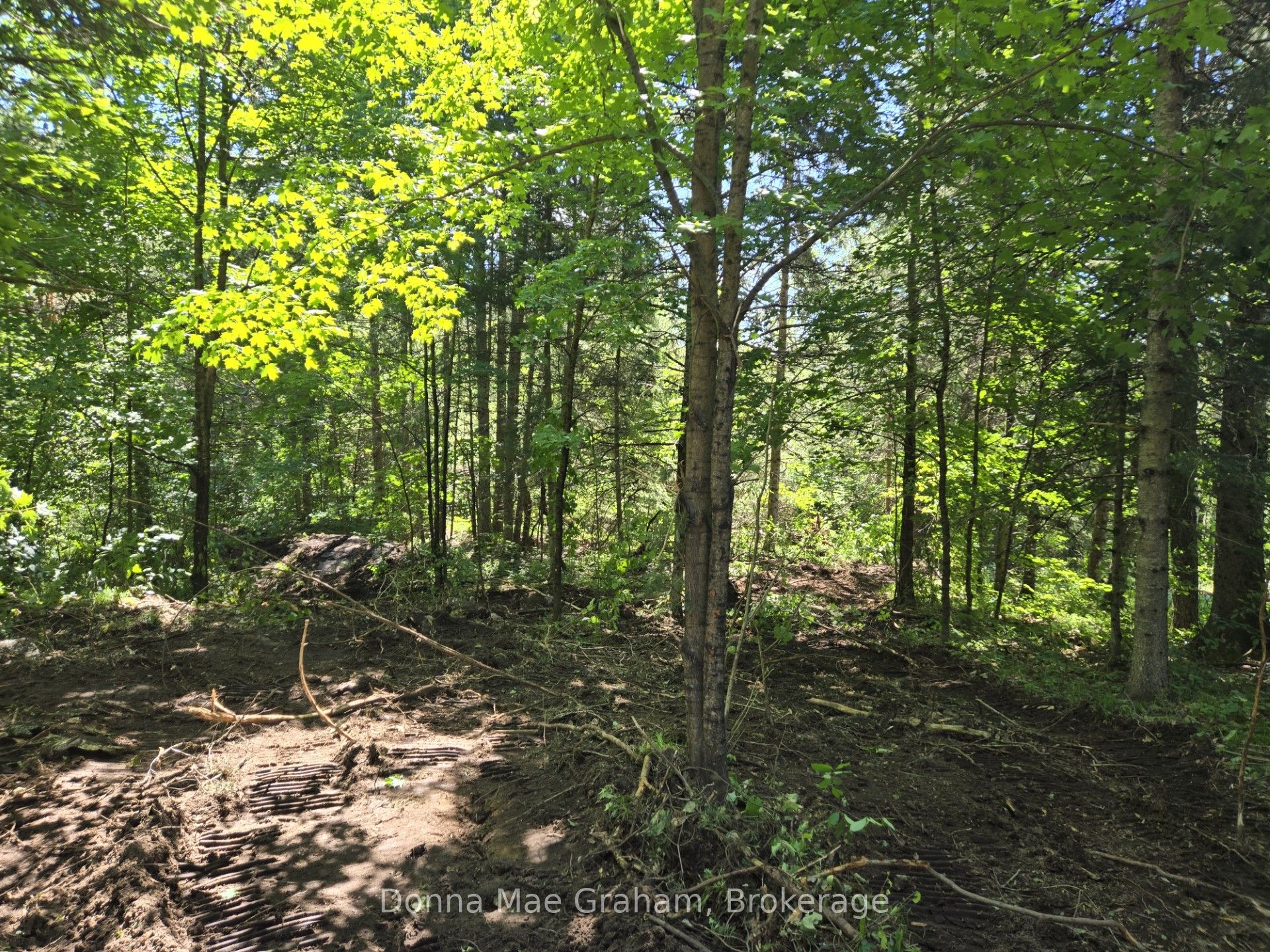 0 E Hwy 503 Highway E Property Photo 1