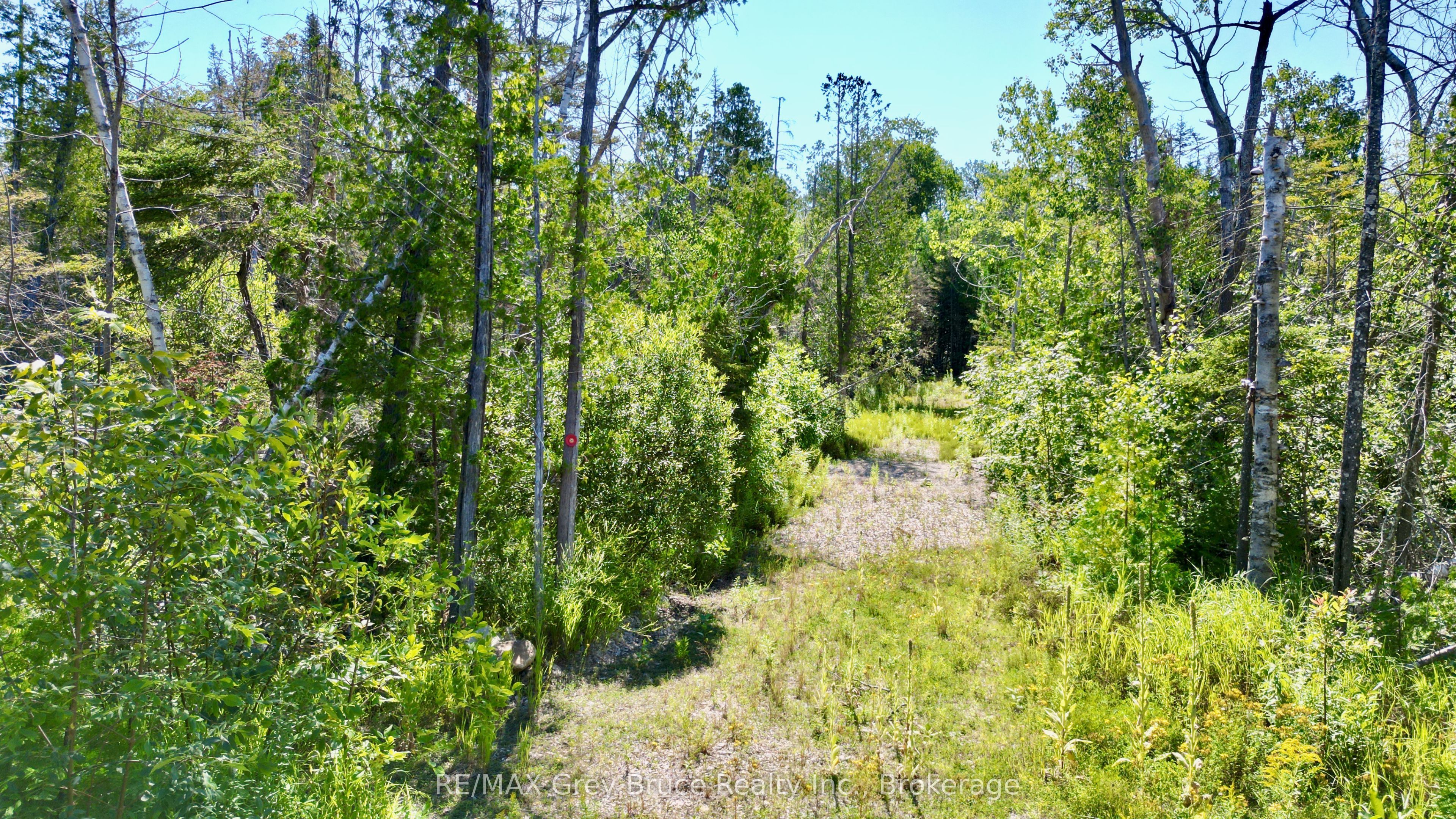 31 Baise Avenue Property Photo 9