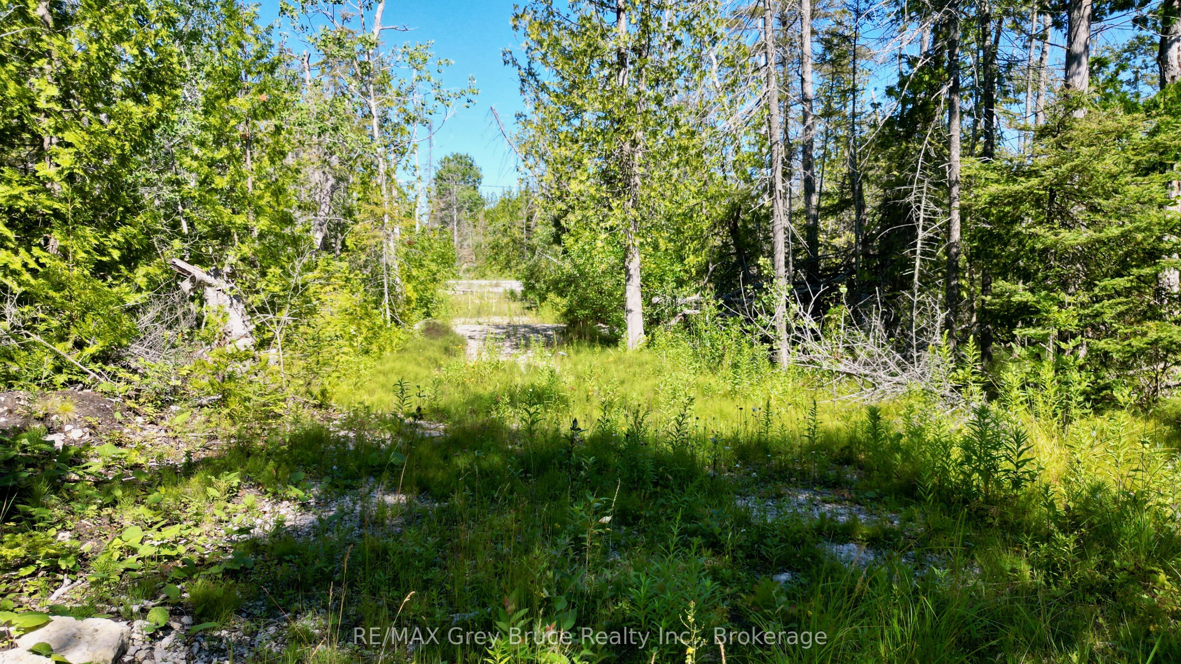 31 Baise Avenue Property Photo 12