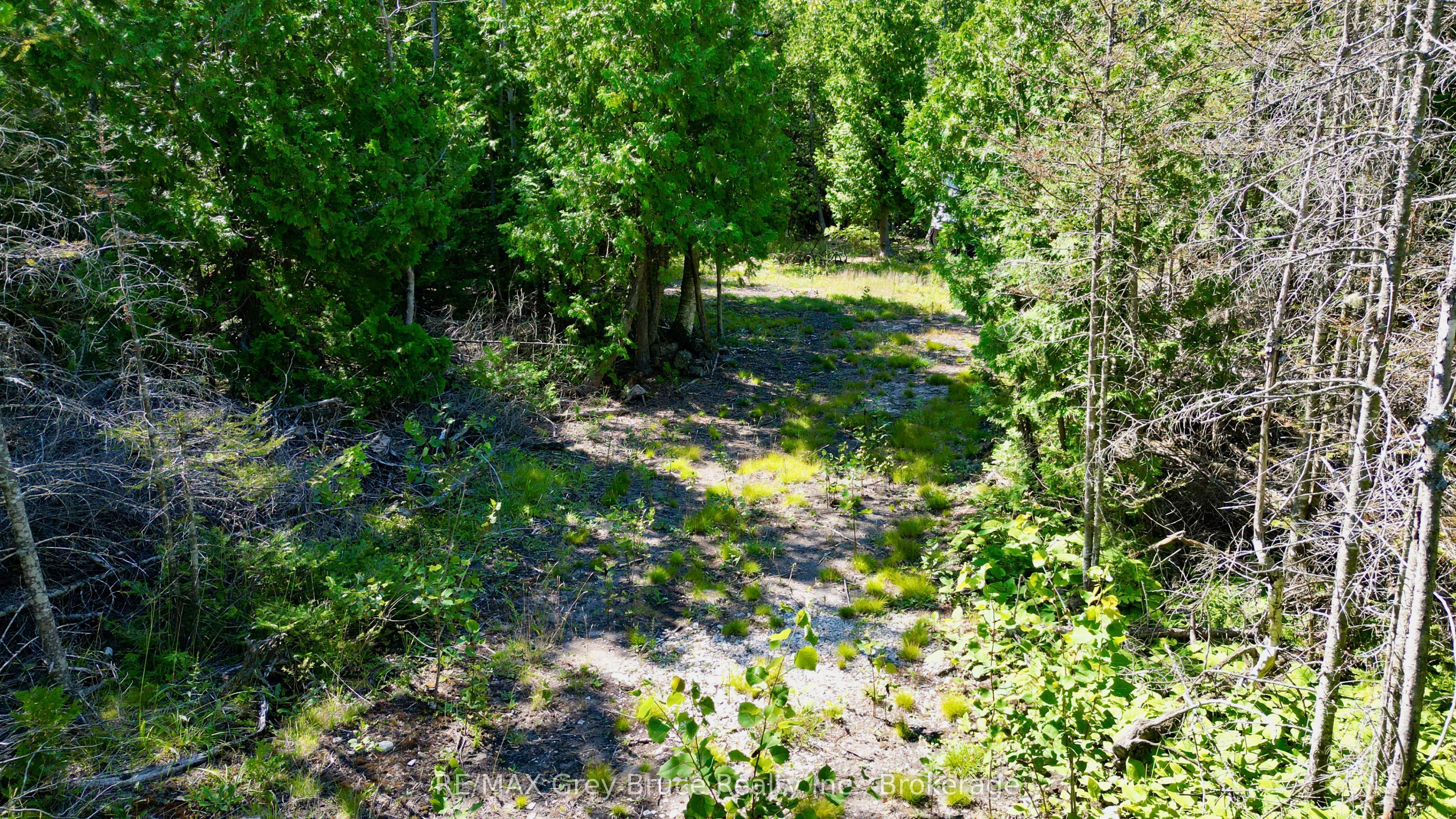 31 Baise Avenue Property Photo 22