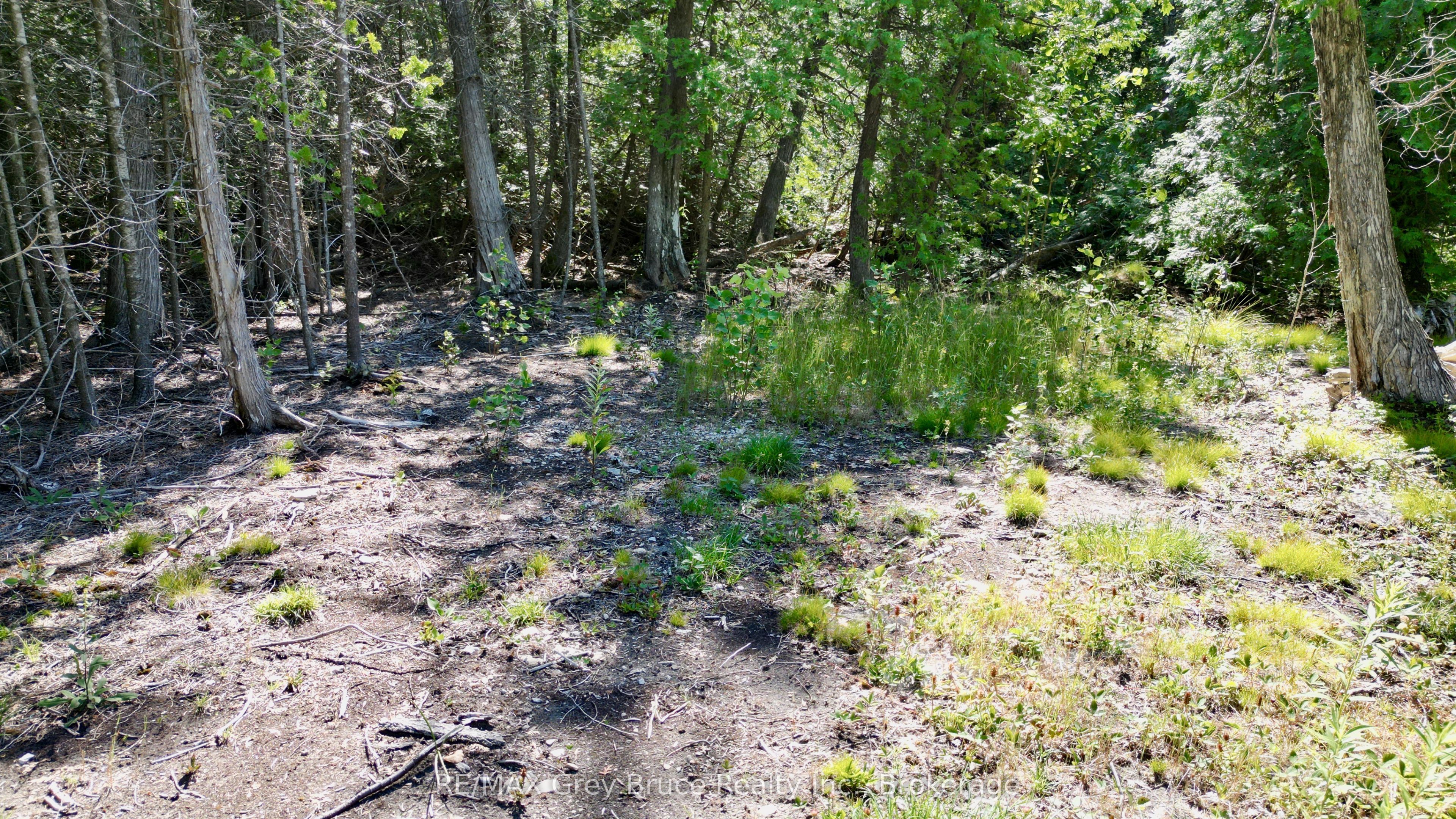 31 Baise Avenue Property Photo 24