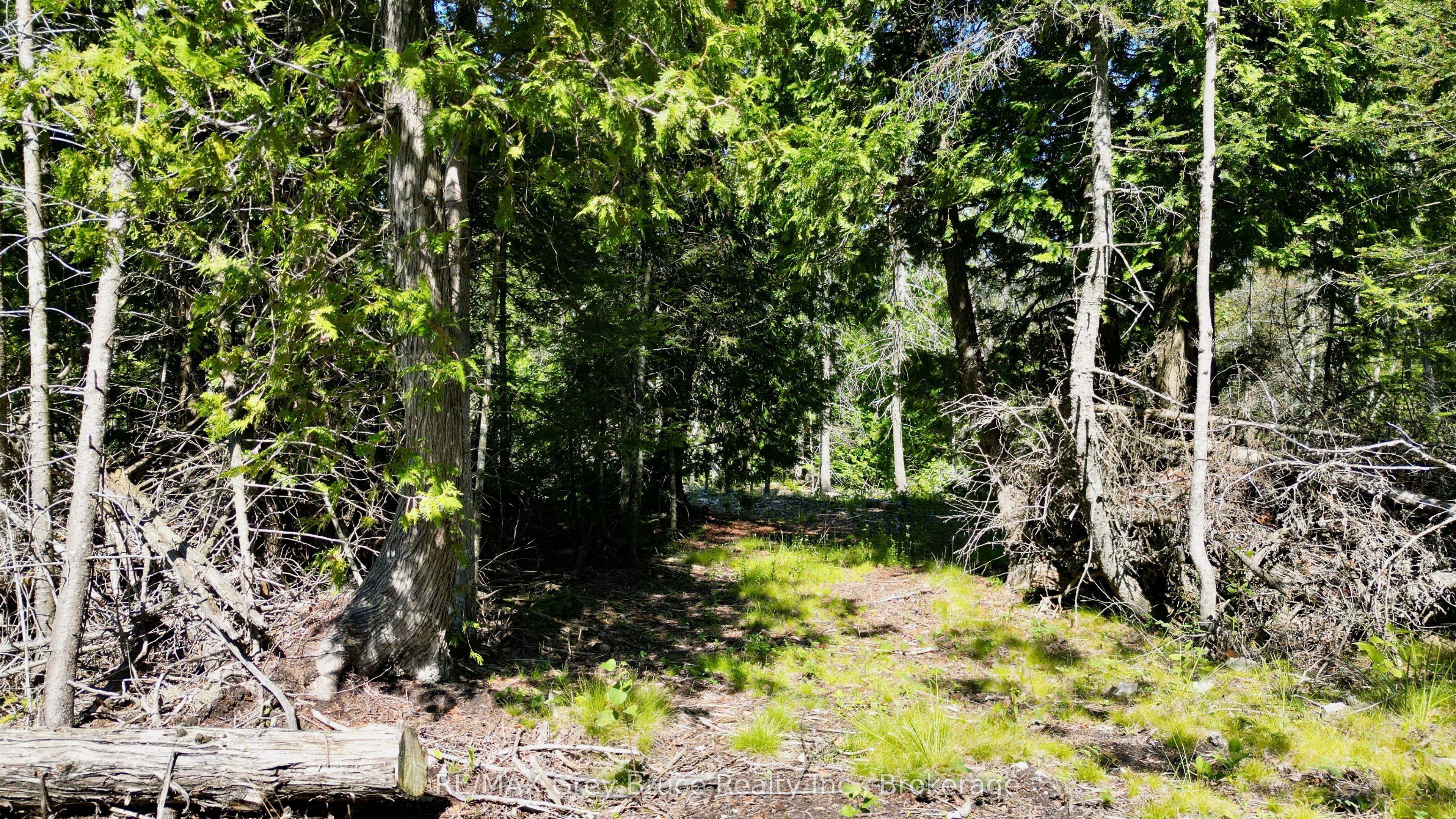 31 Baise Avenue Property Photo 25