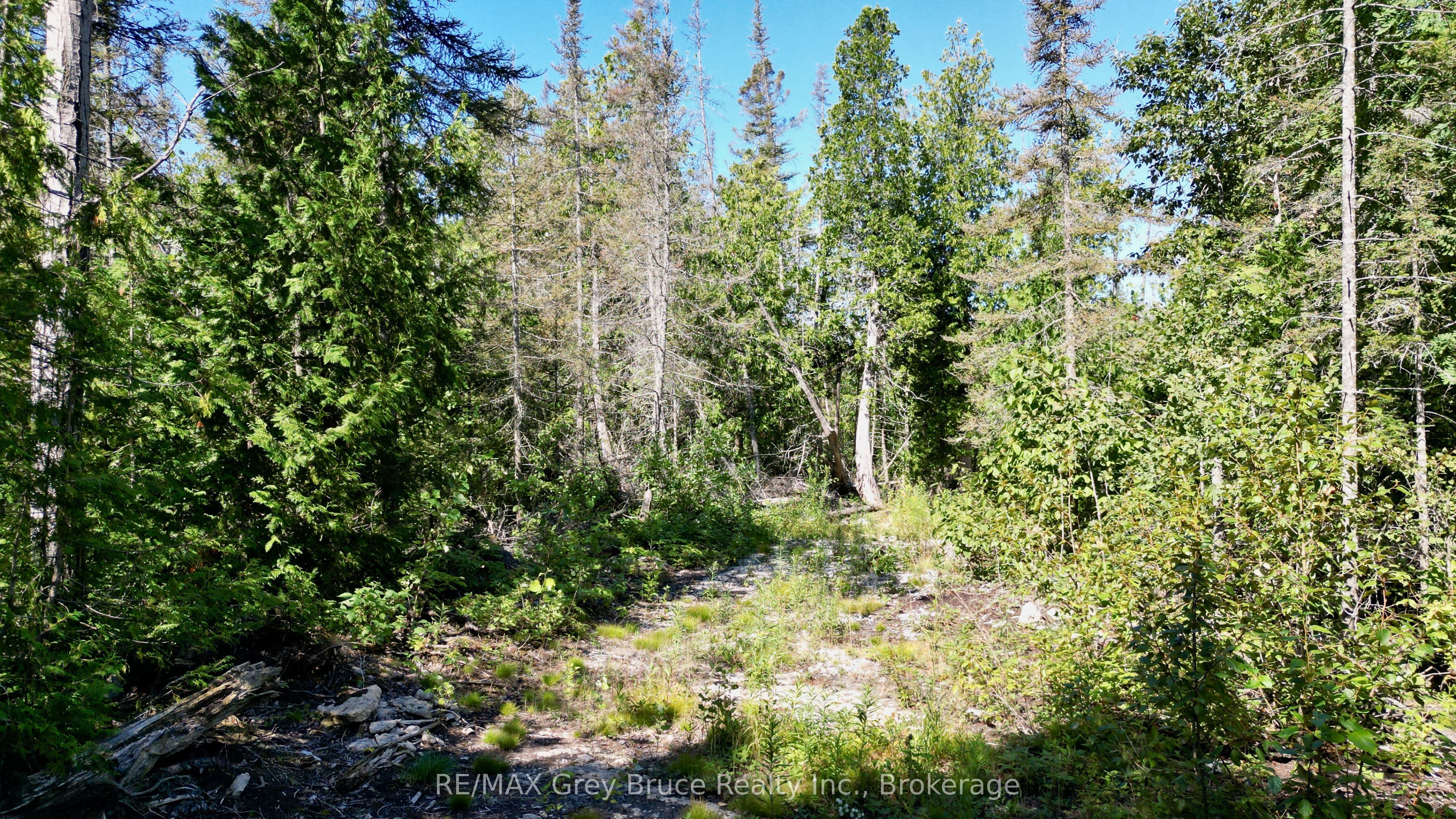 31 Baise Avenue Property Photo 27