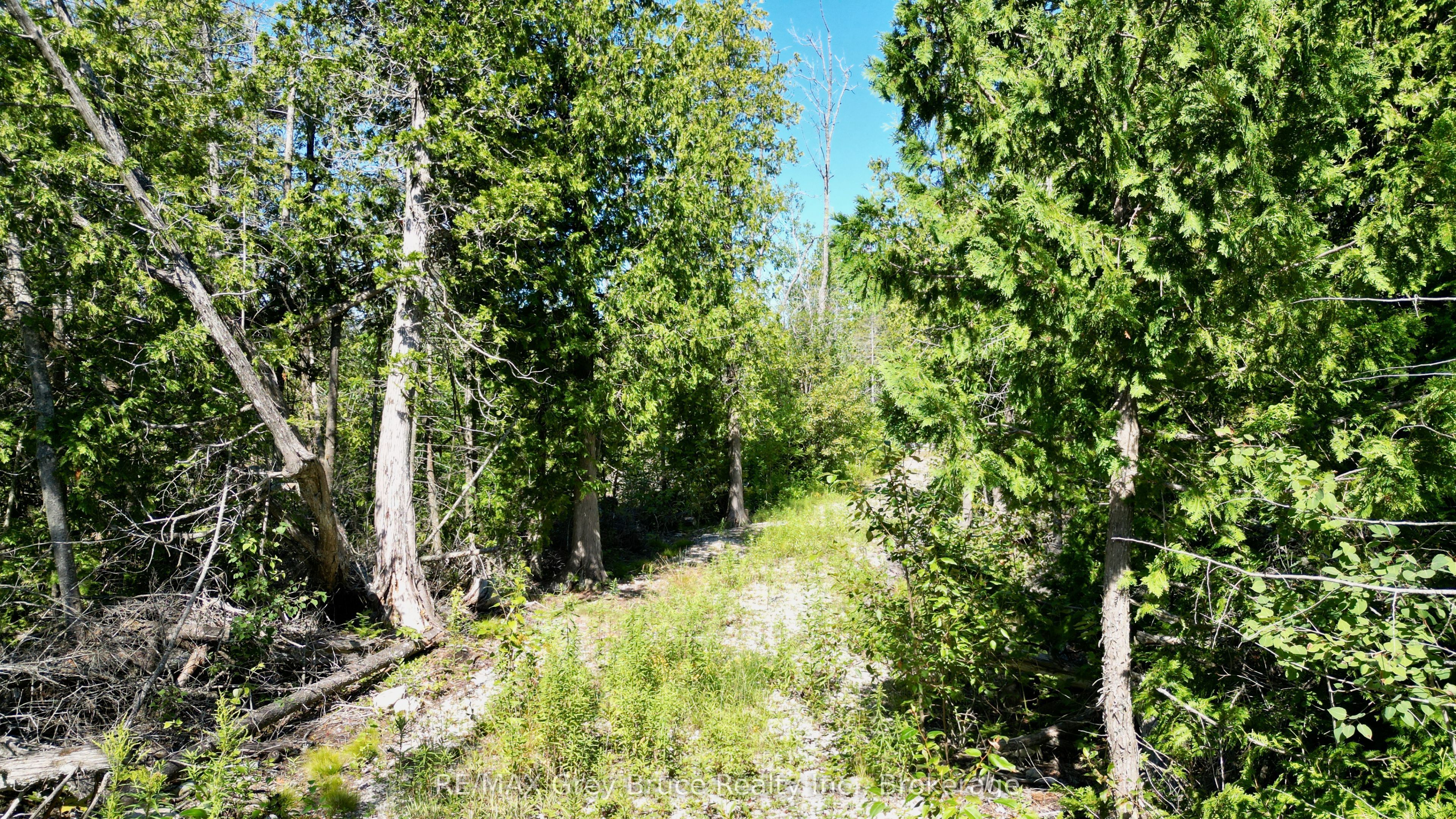 31 Baise Avenue Property Photo 28